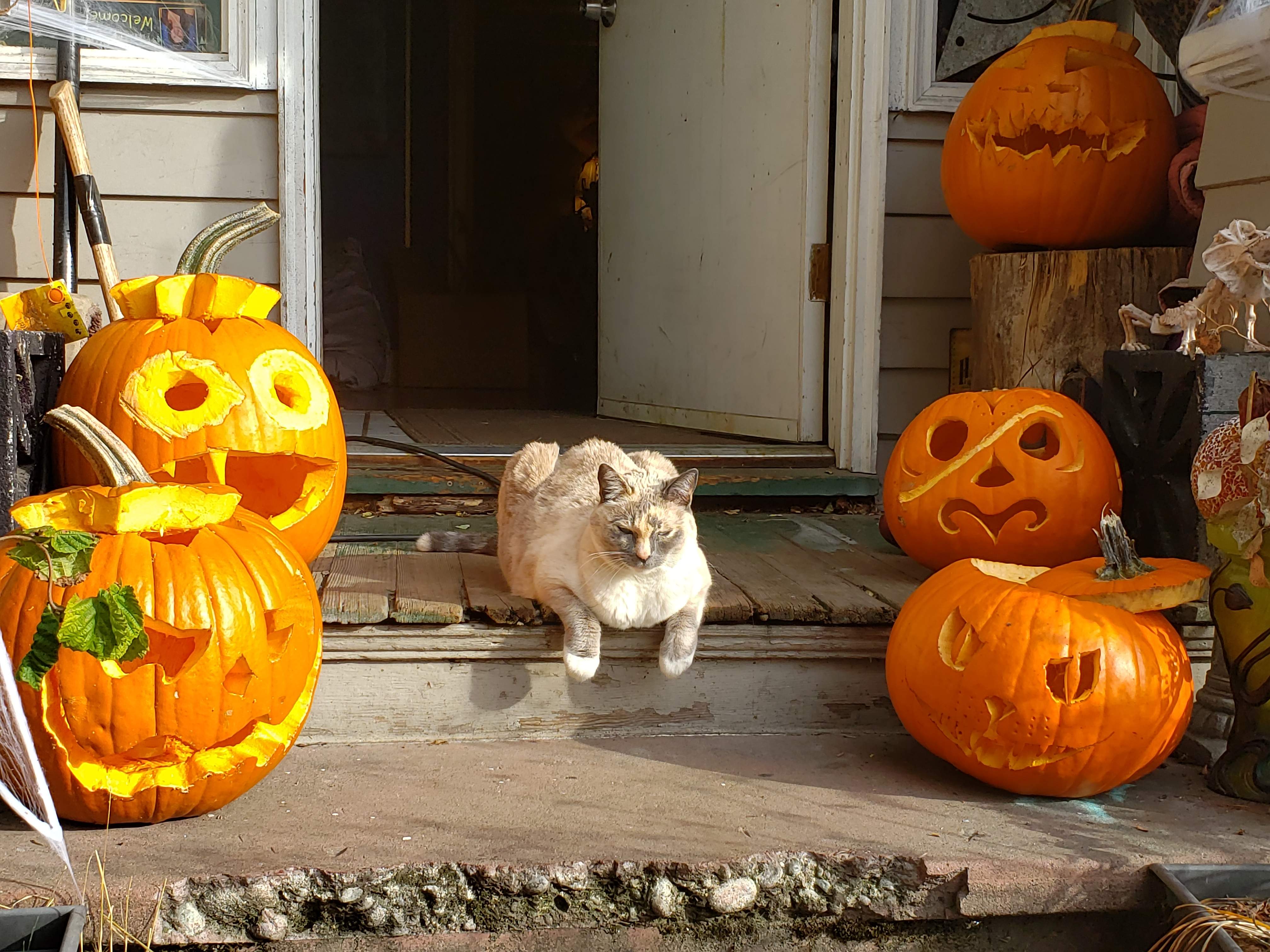 20181030_145313.jpg