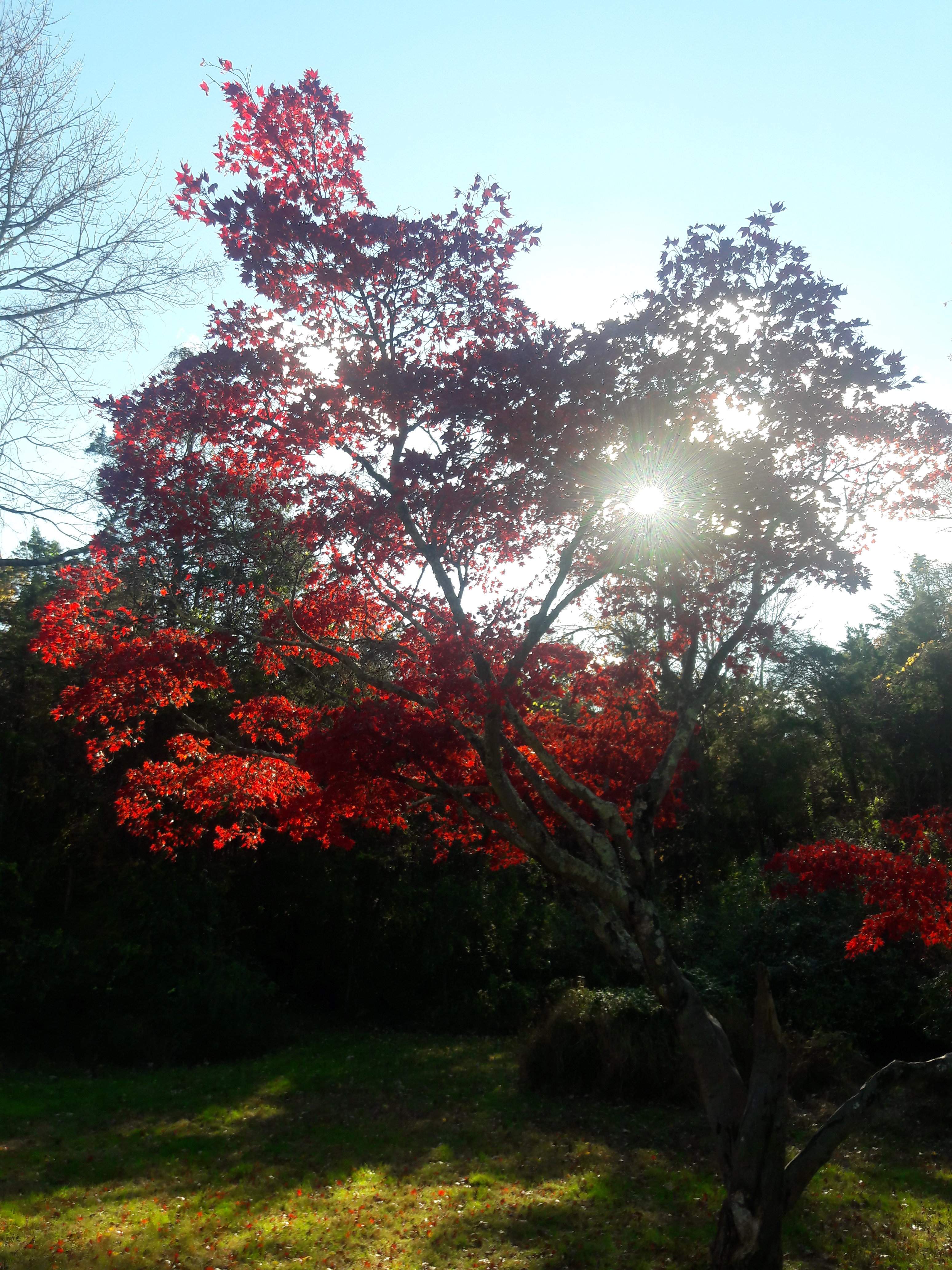 20181103_155031.jpg