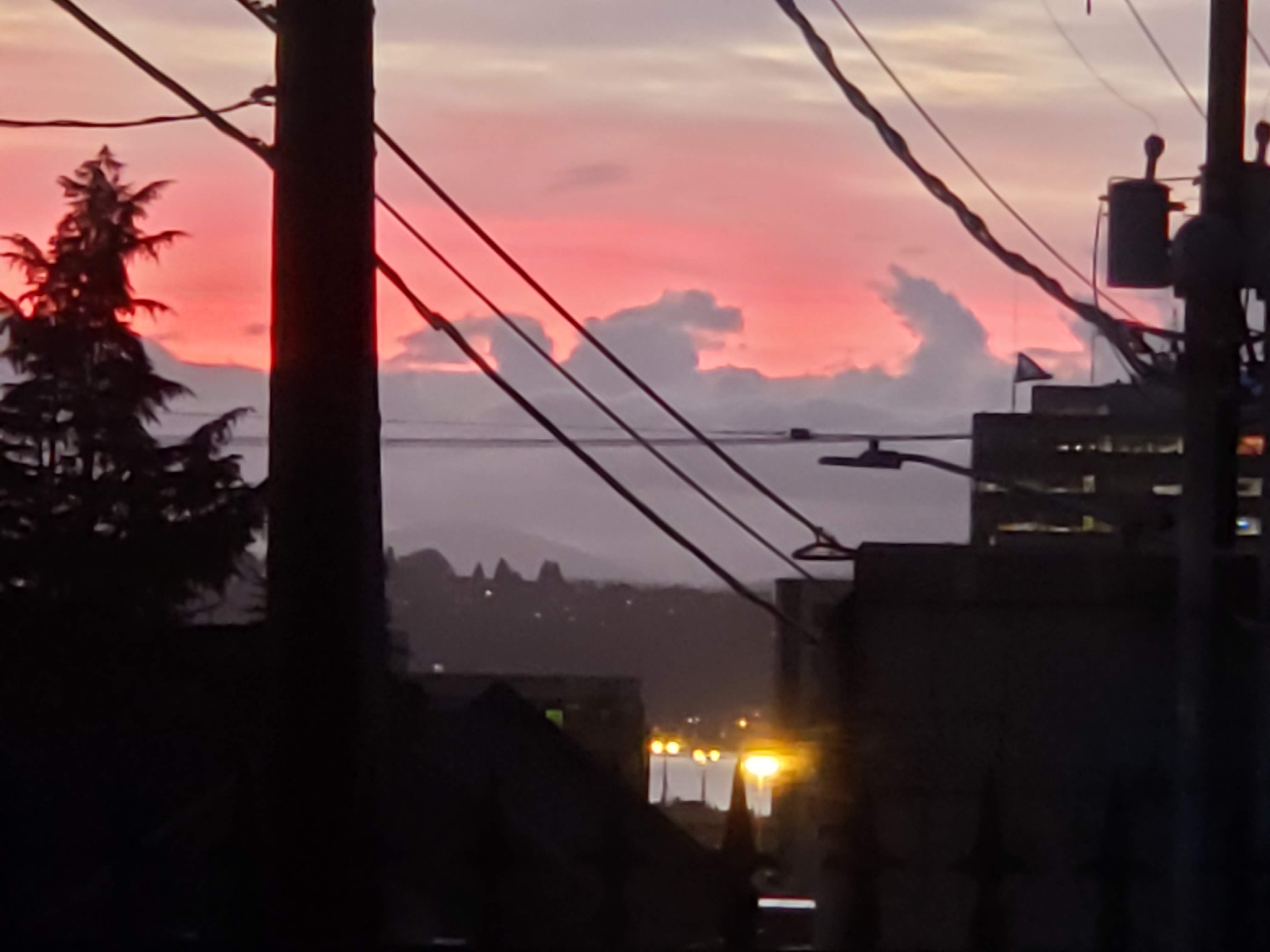20181104_171143.jpg