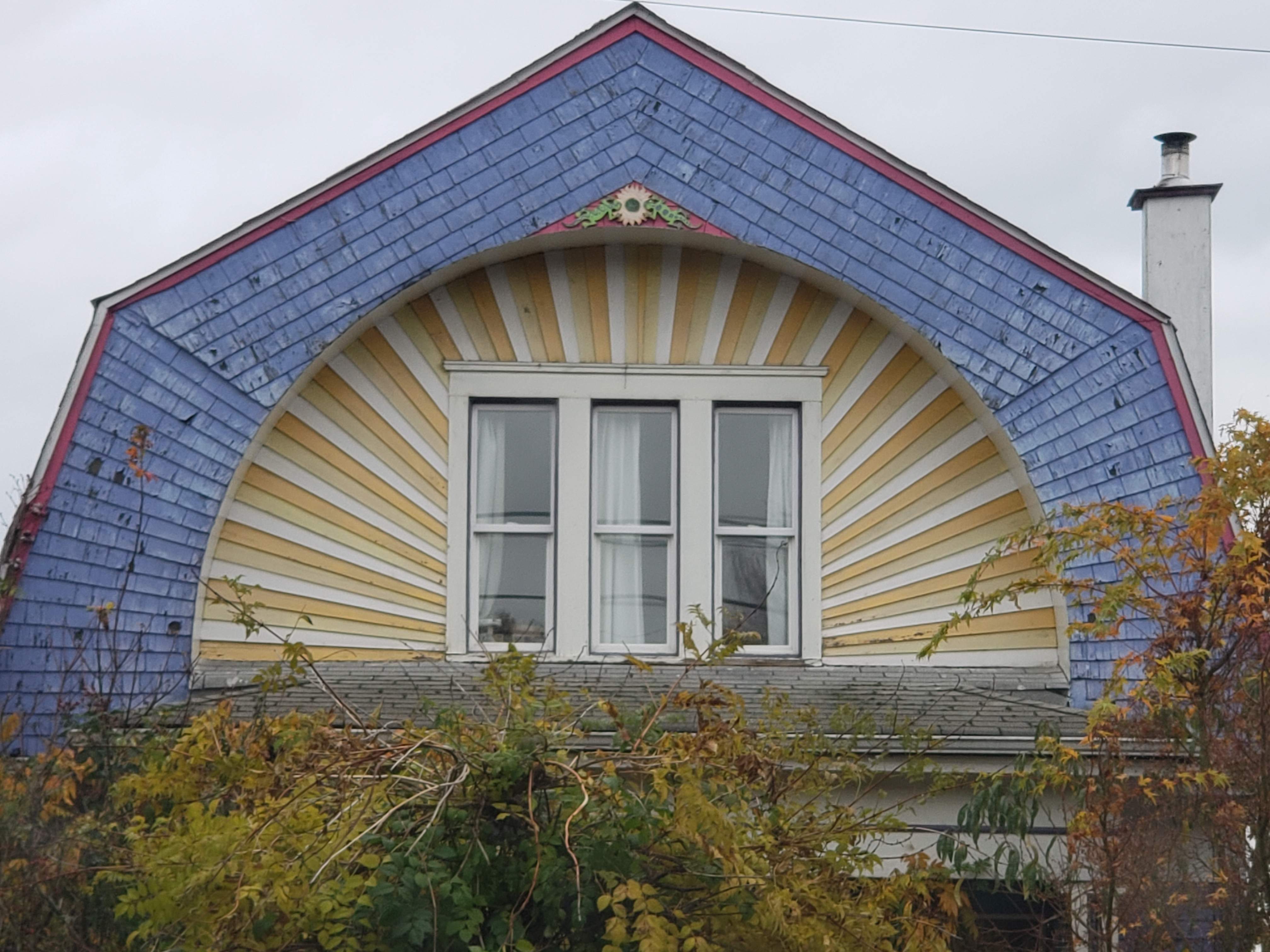 20181109_151004.jpg