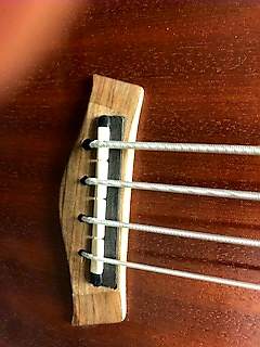 20181115_075159.jpg