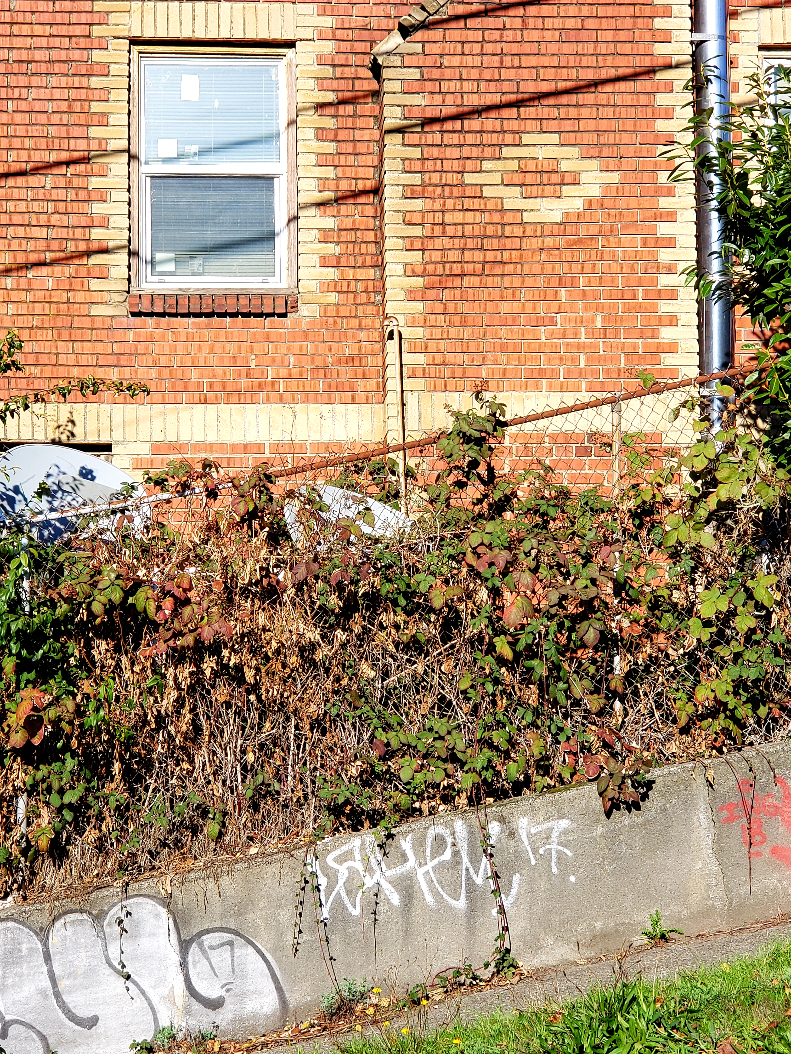20181117_214357.jpg