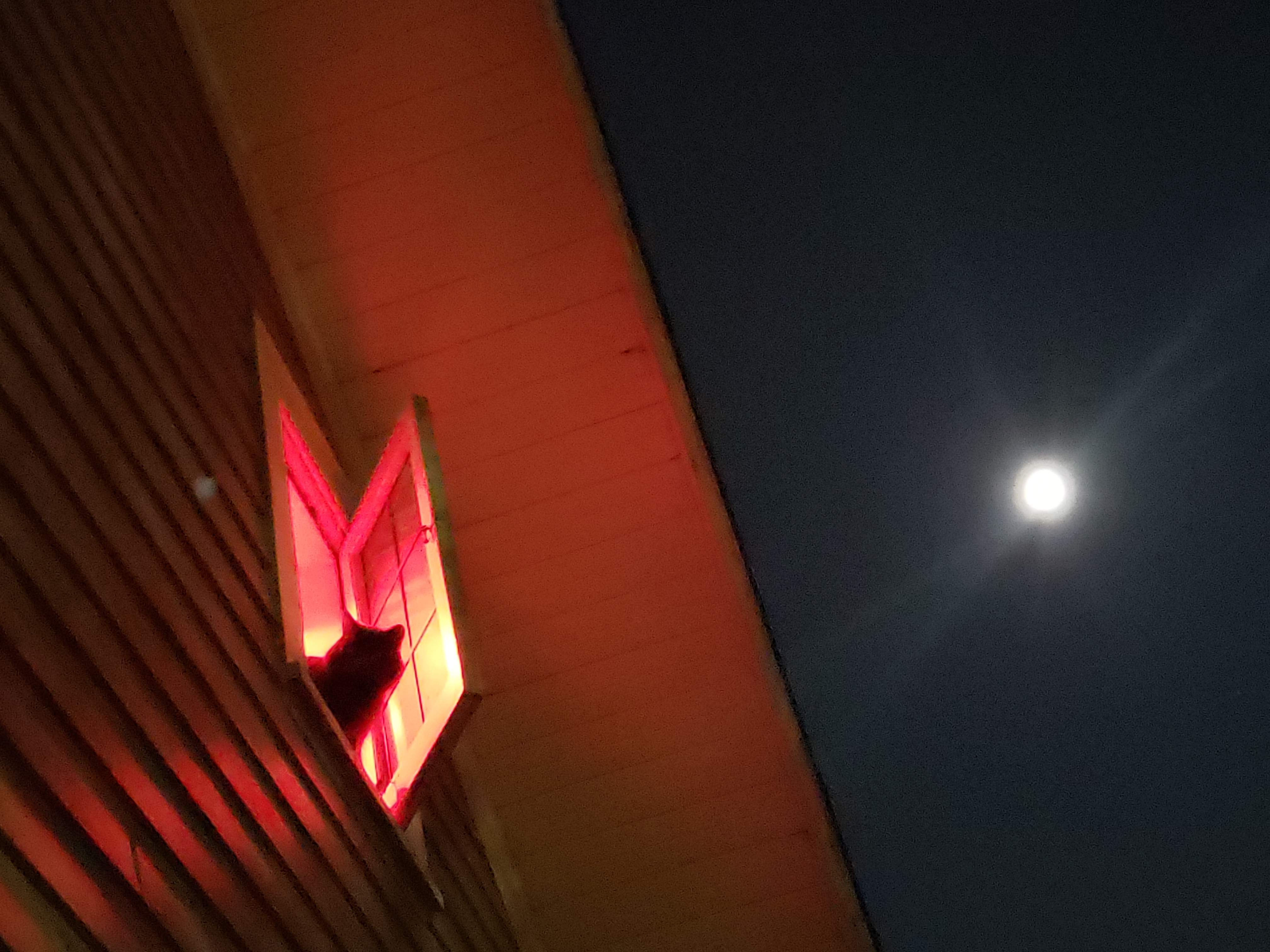 20181118_211516.jpg