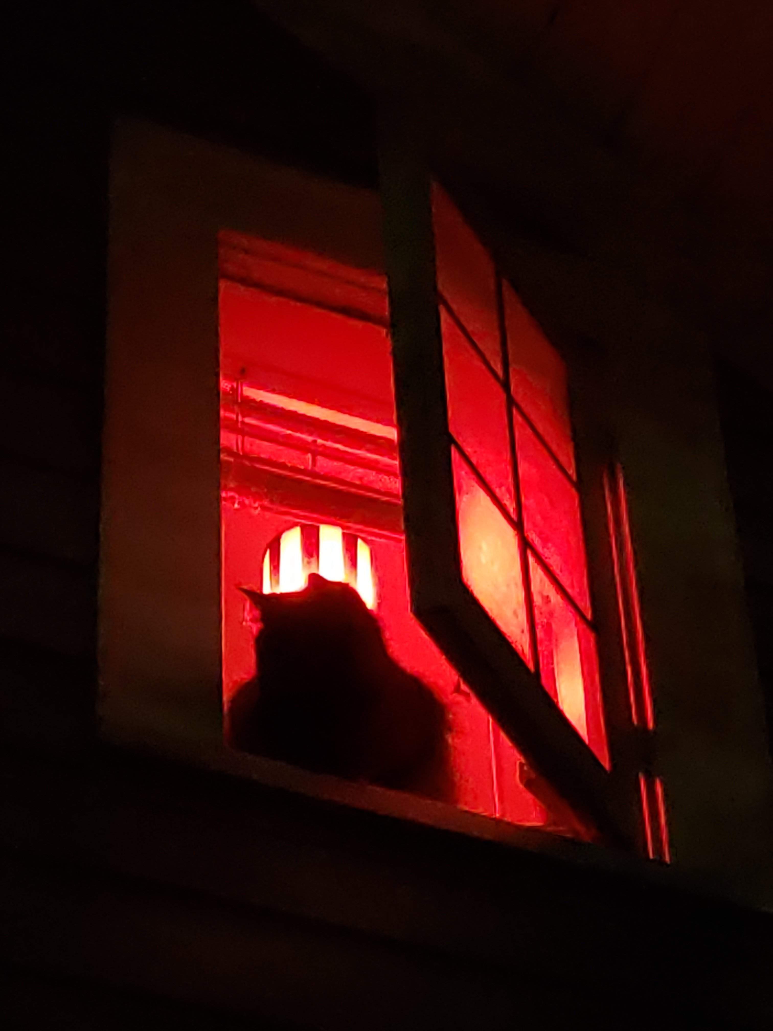 20181118_211642.jpg