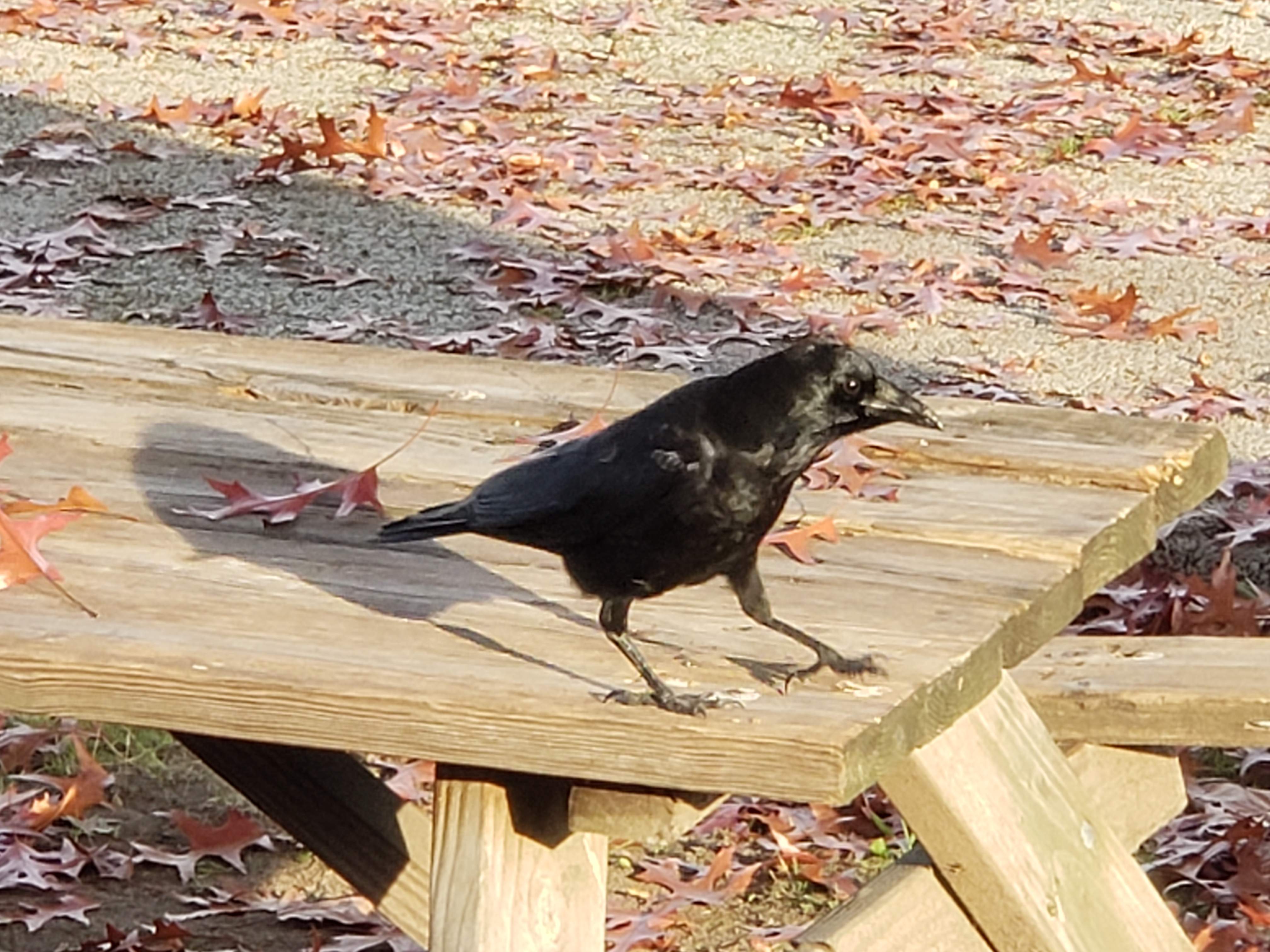 20181120_143703.jpg