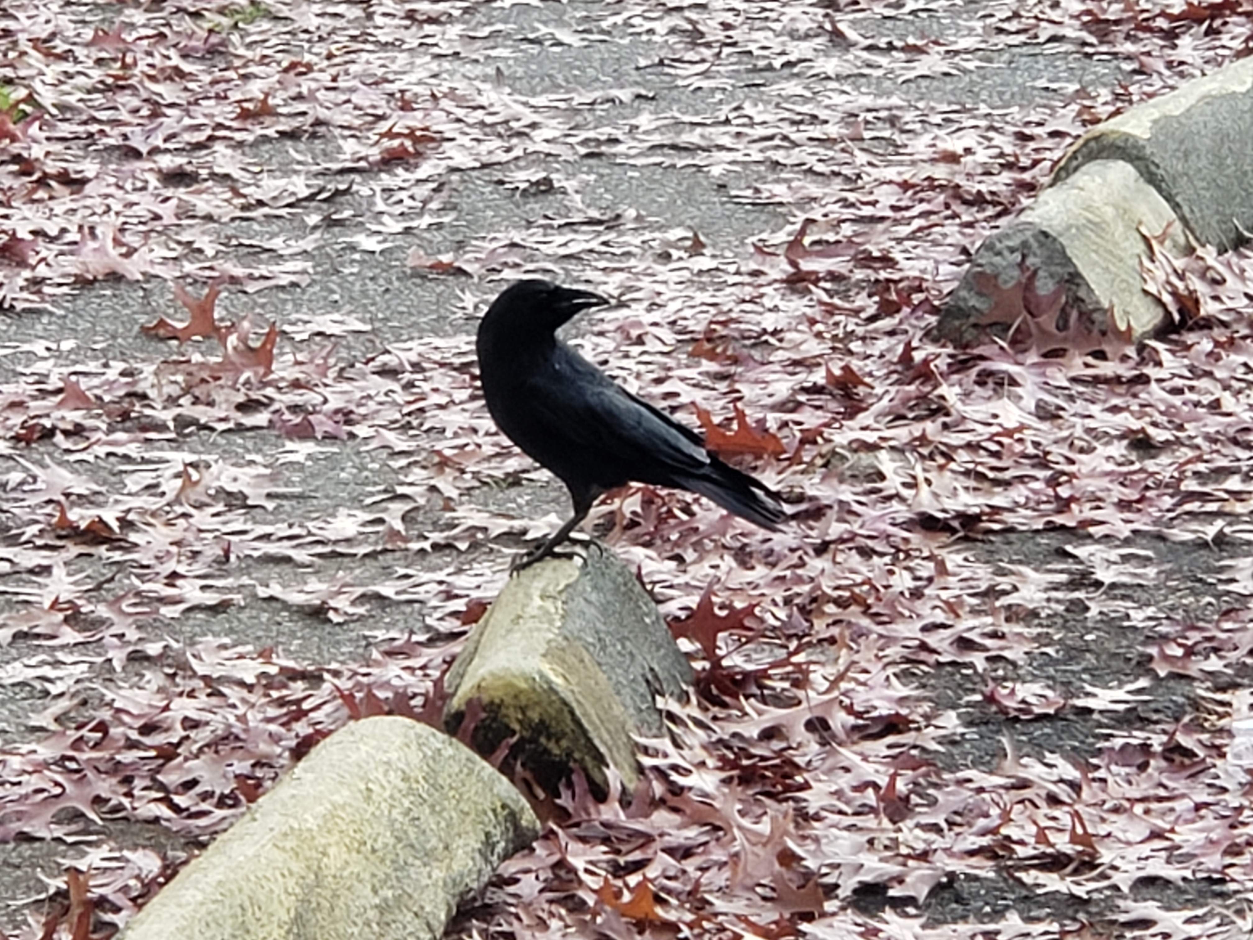 20181120_143752.jpg
