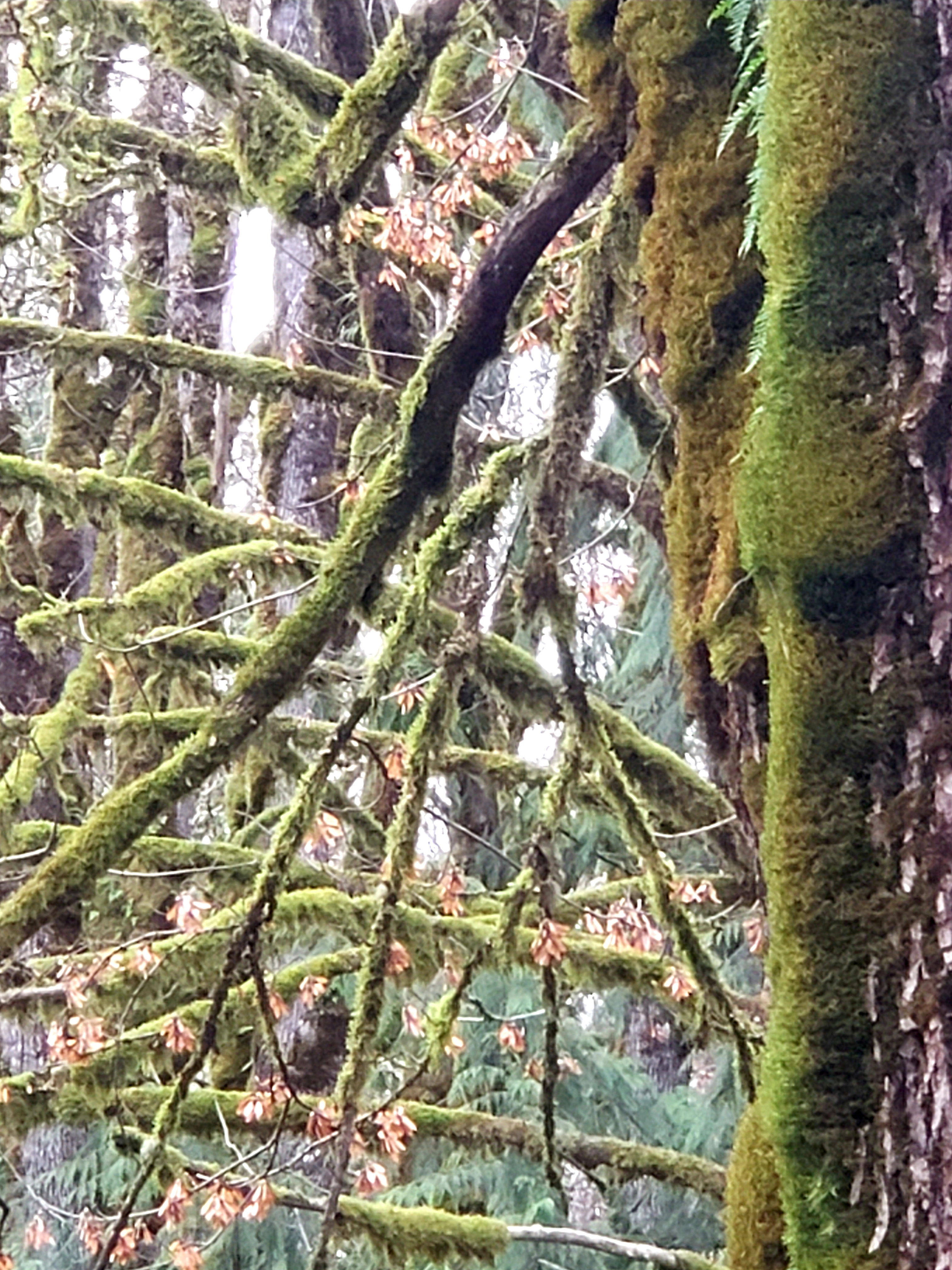 20181121_183941.jpg