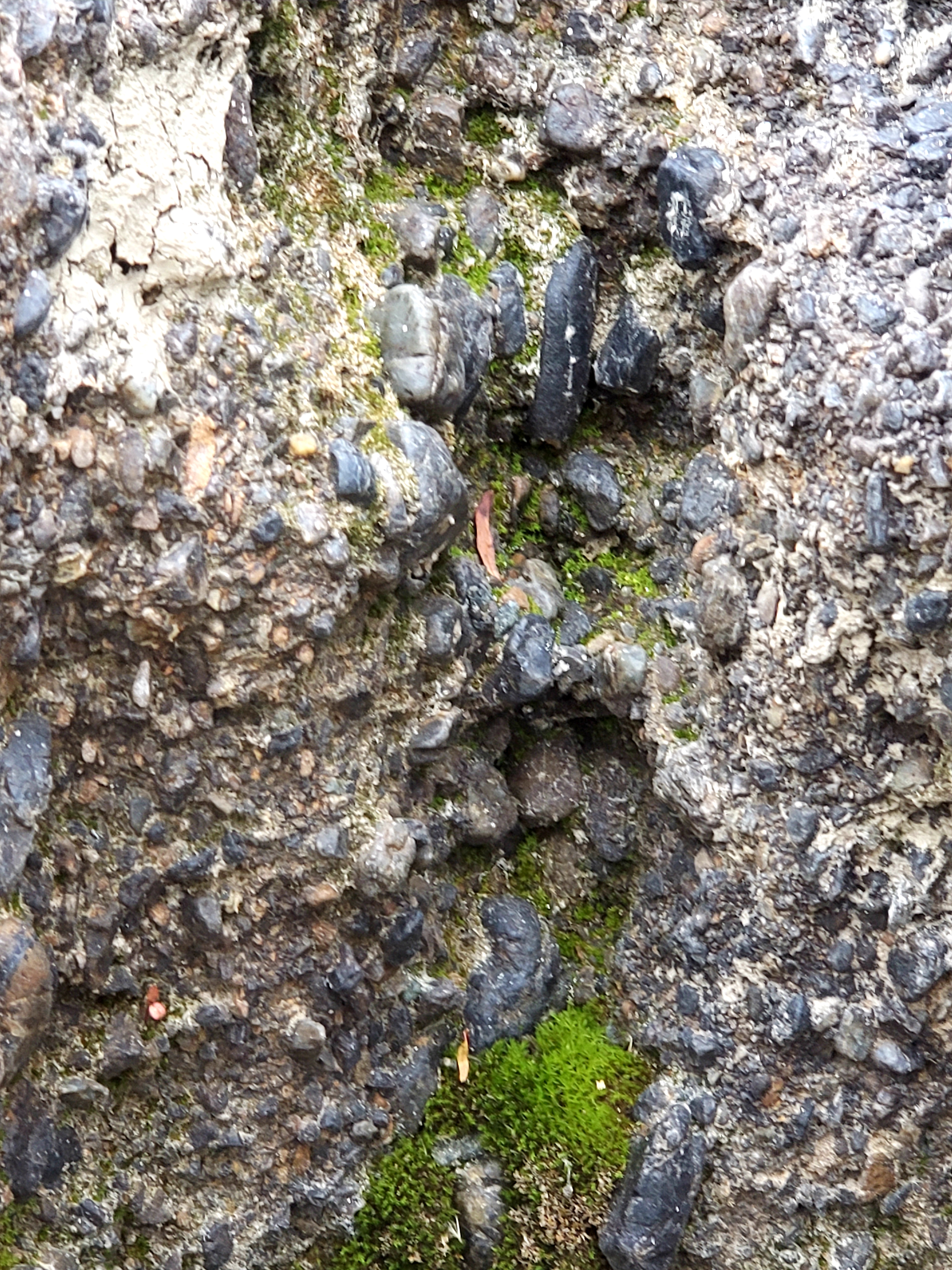 20181125_223316.jpg