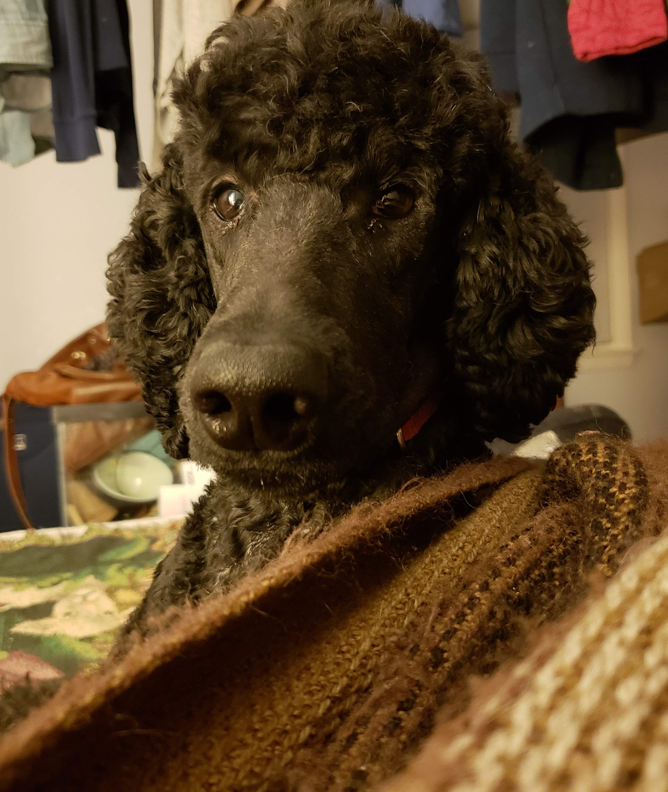 20181217_182740.jpg
