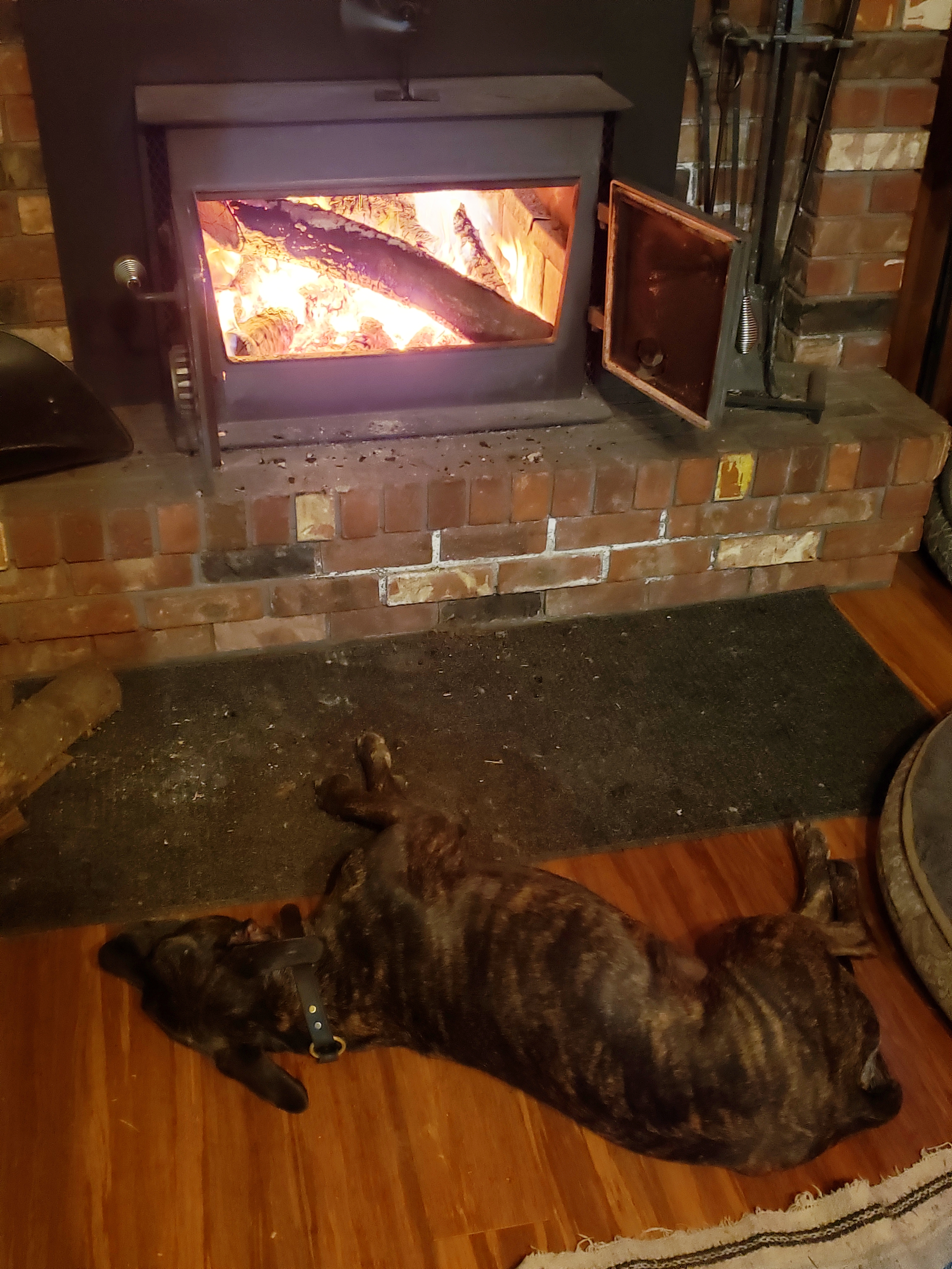 20181222_210711.jpg