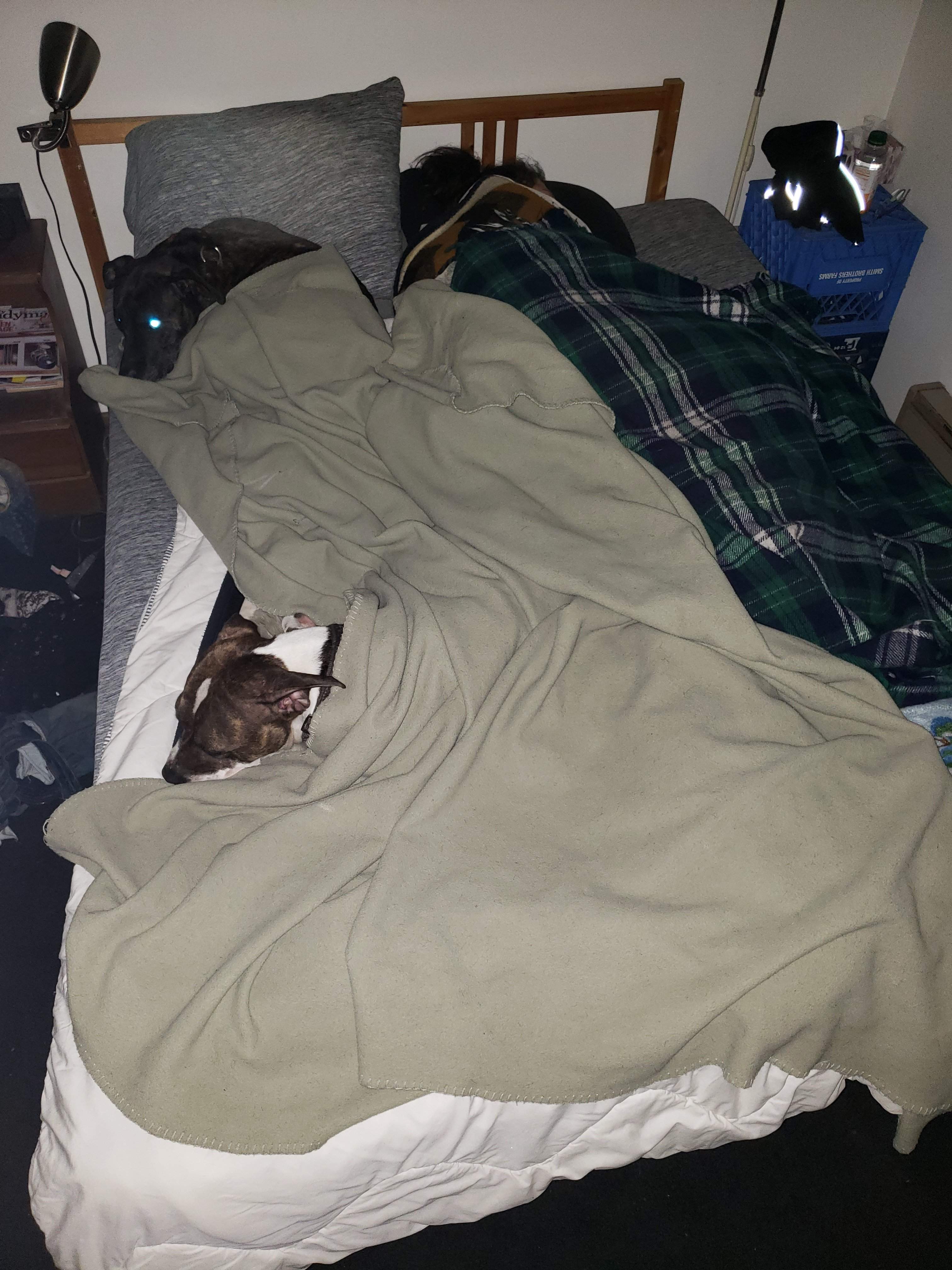 20181222_220348.jpg