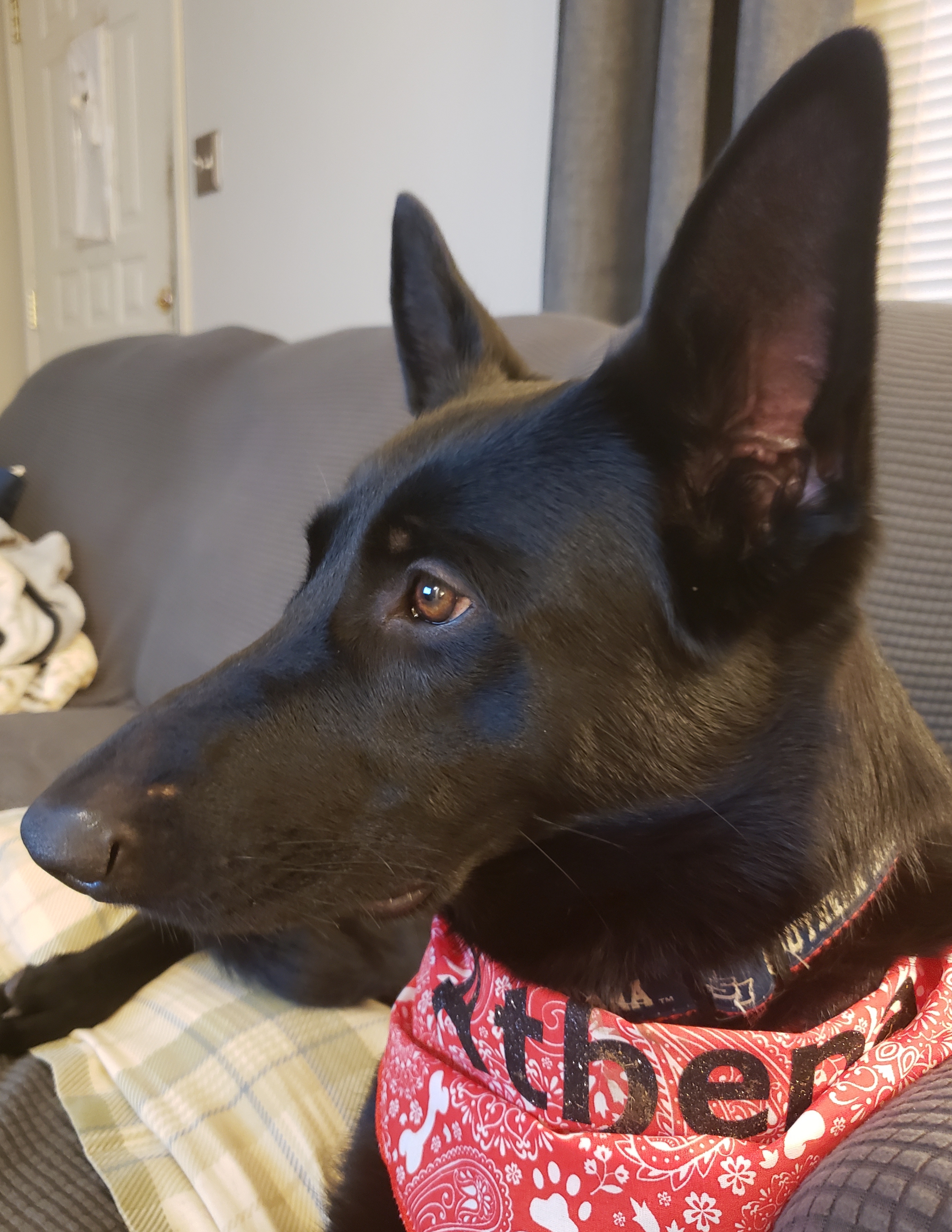 20181222_232851.jpg