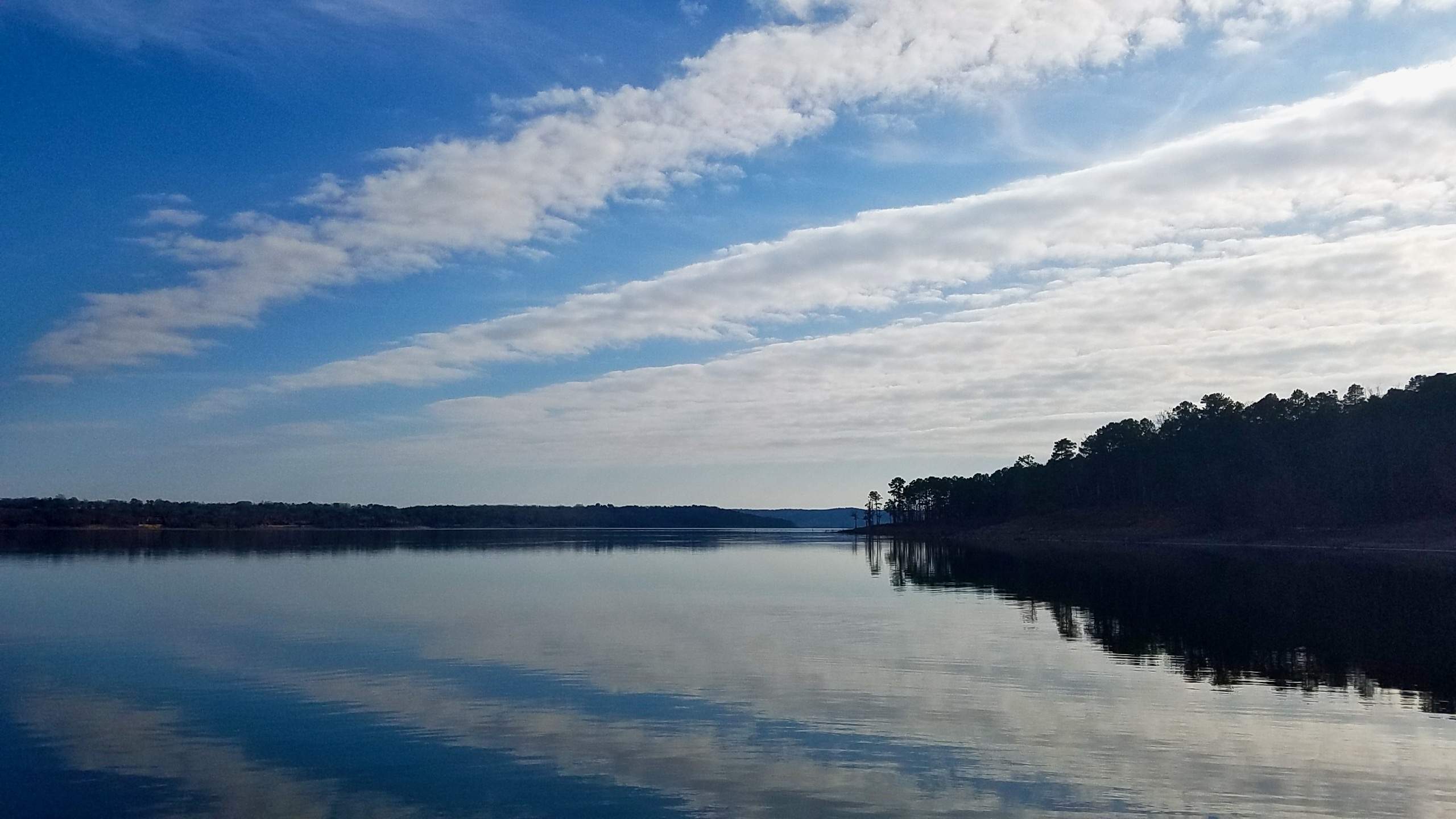 20181225_131105b copy.jpeg