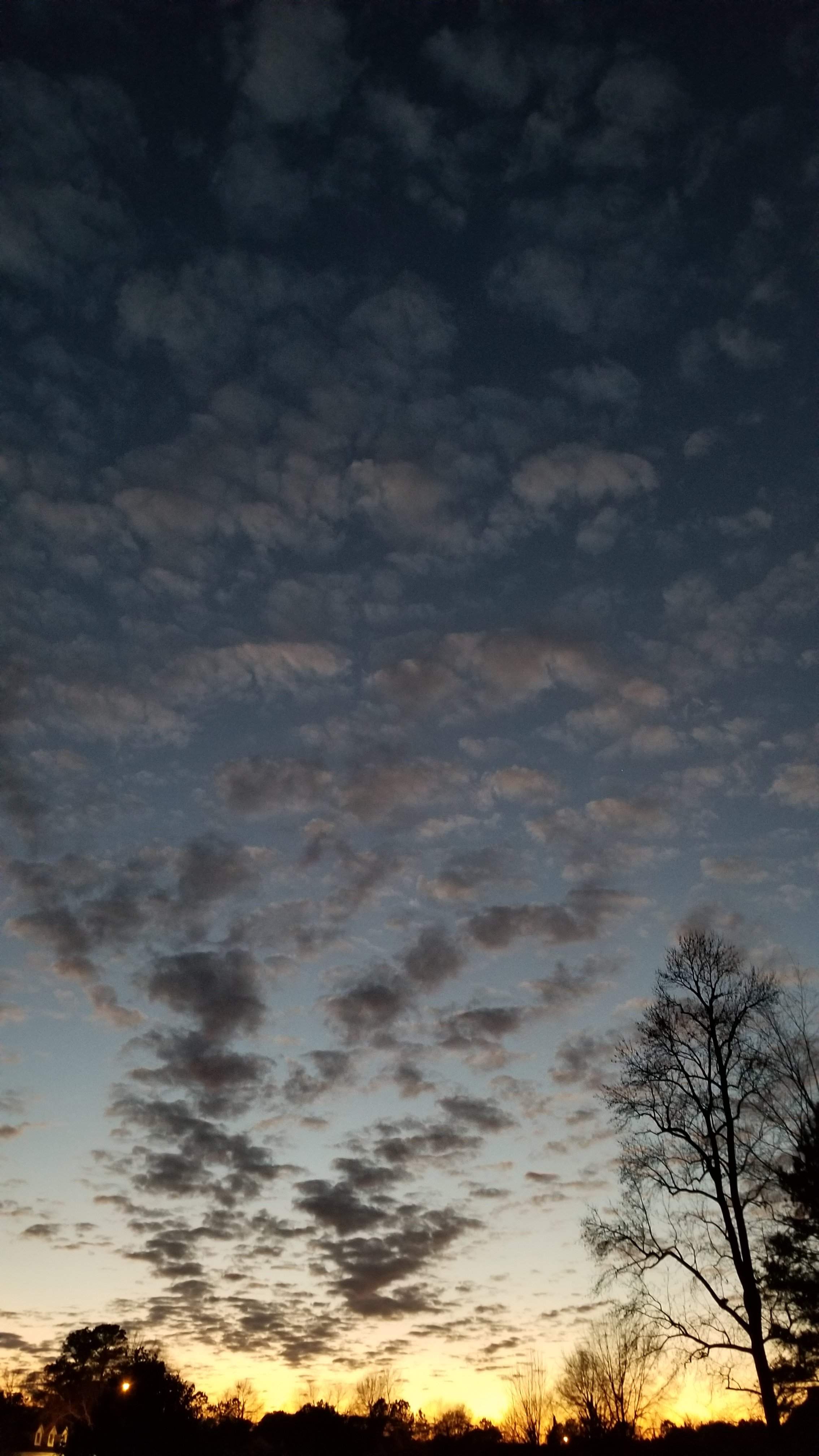 20181225_173551.jpg
