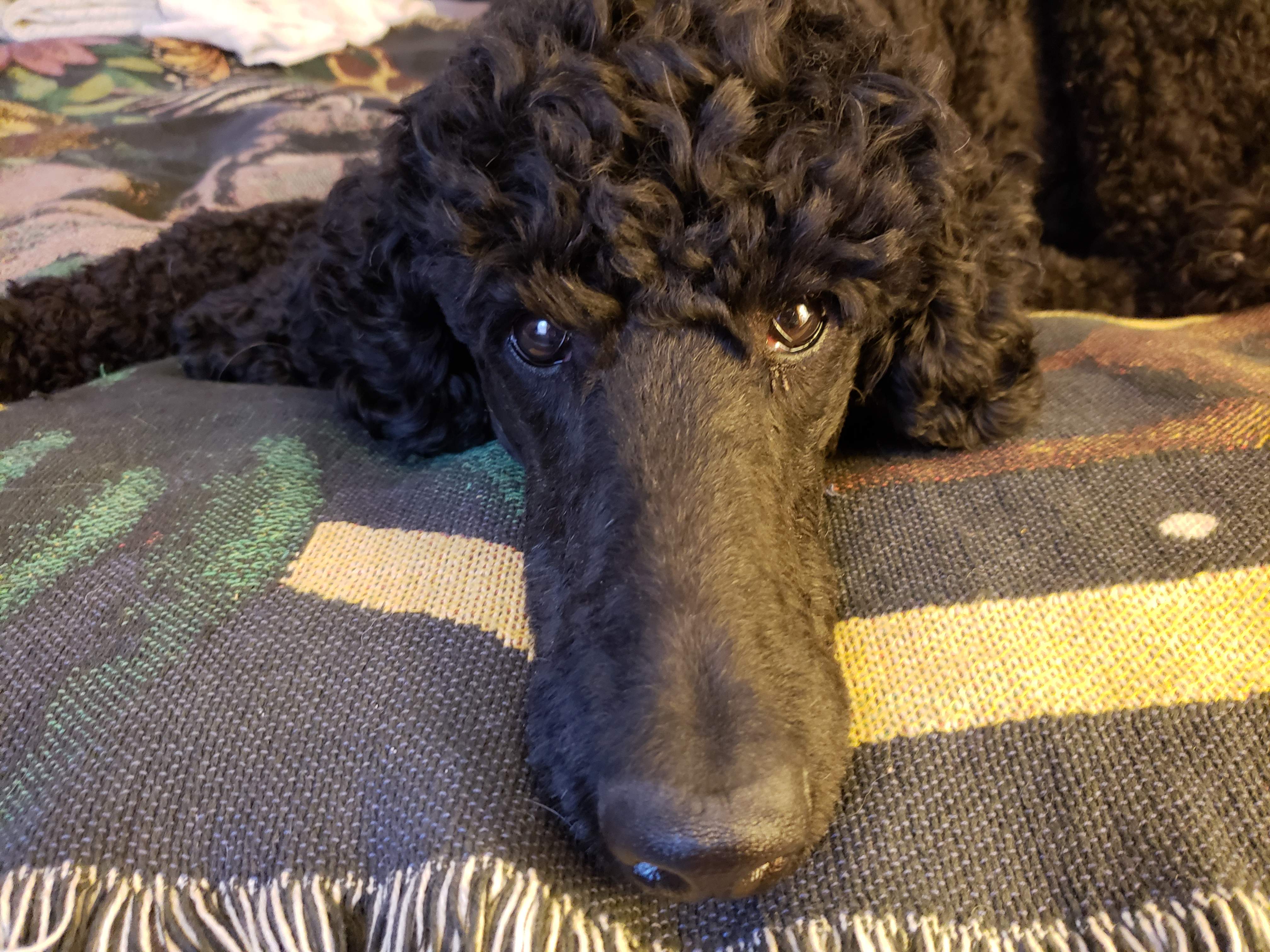 20181231_133955.jpg