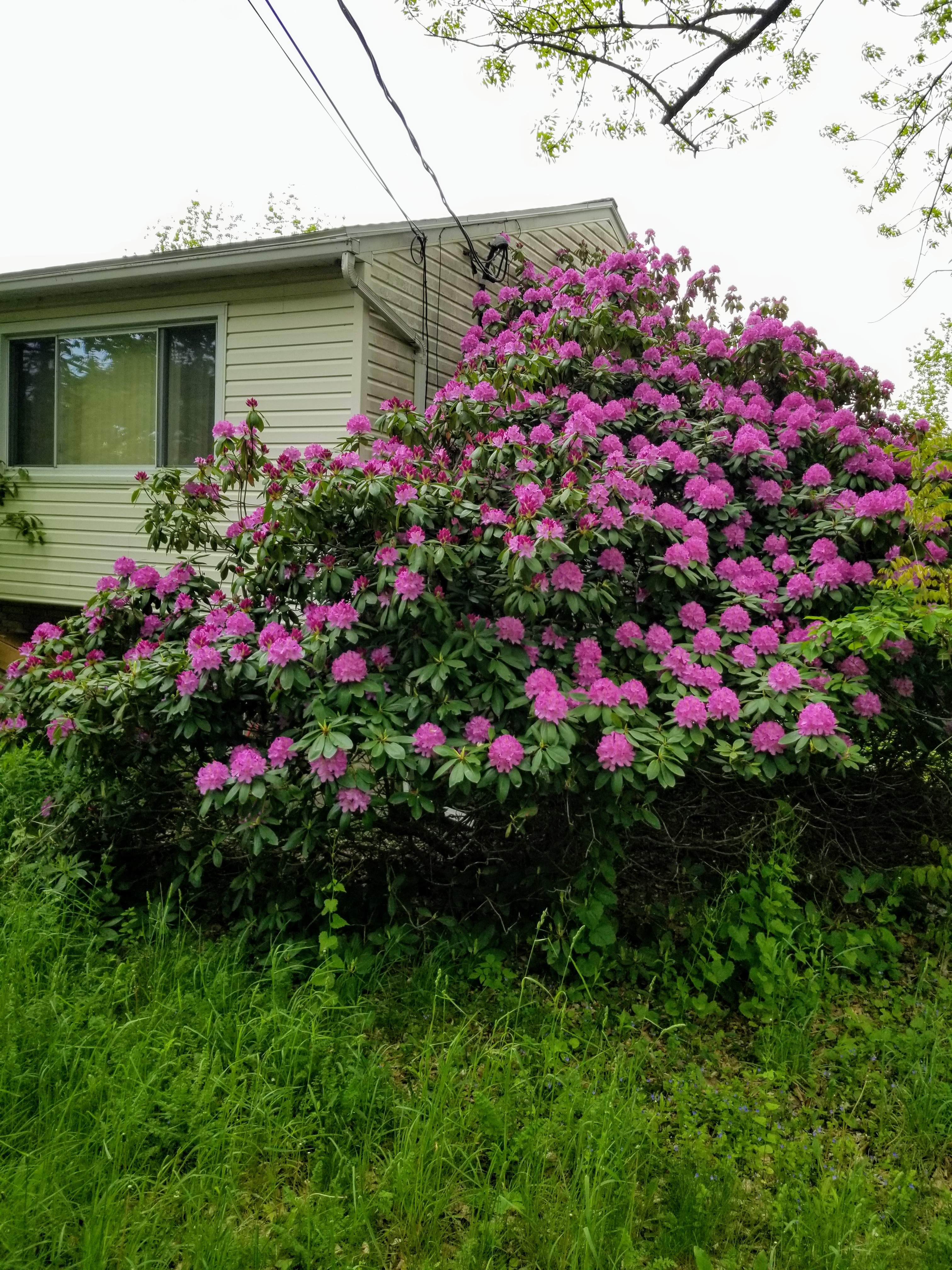 2019-05-24.jpg