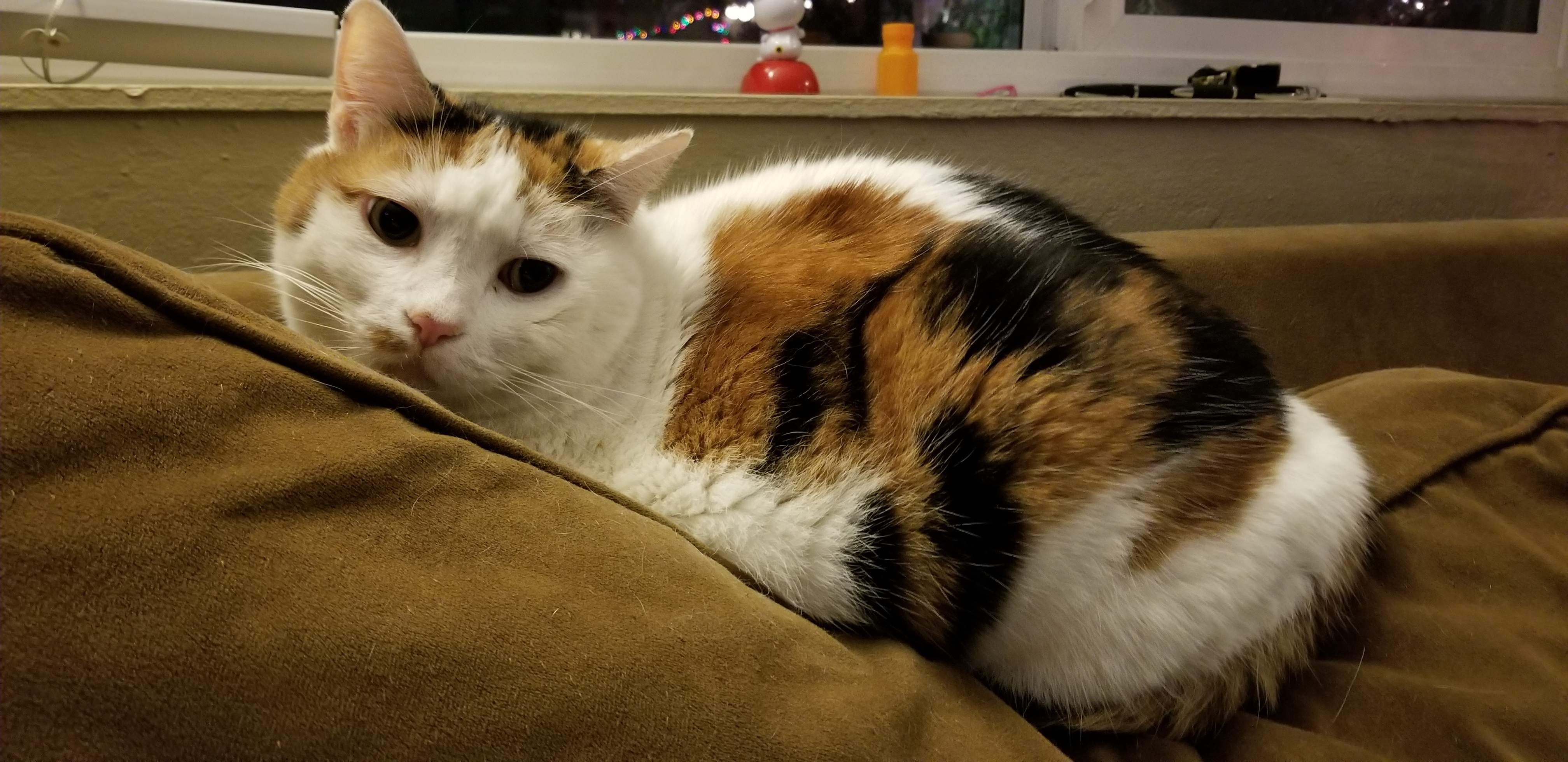 20190103_193300.jpg
