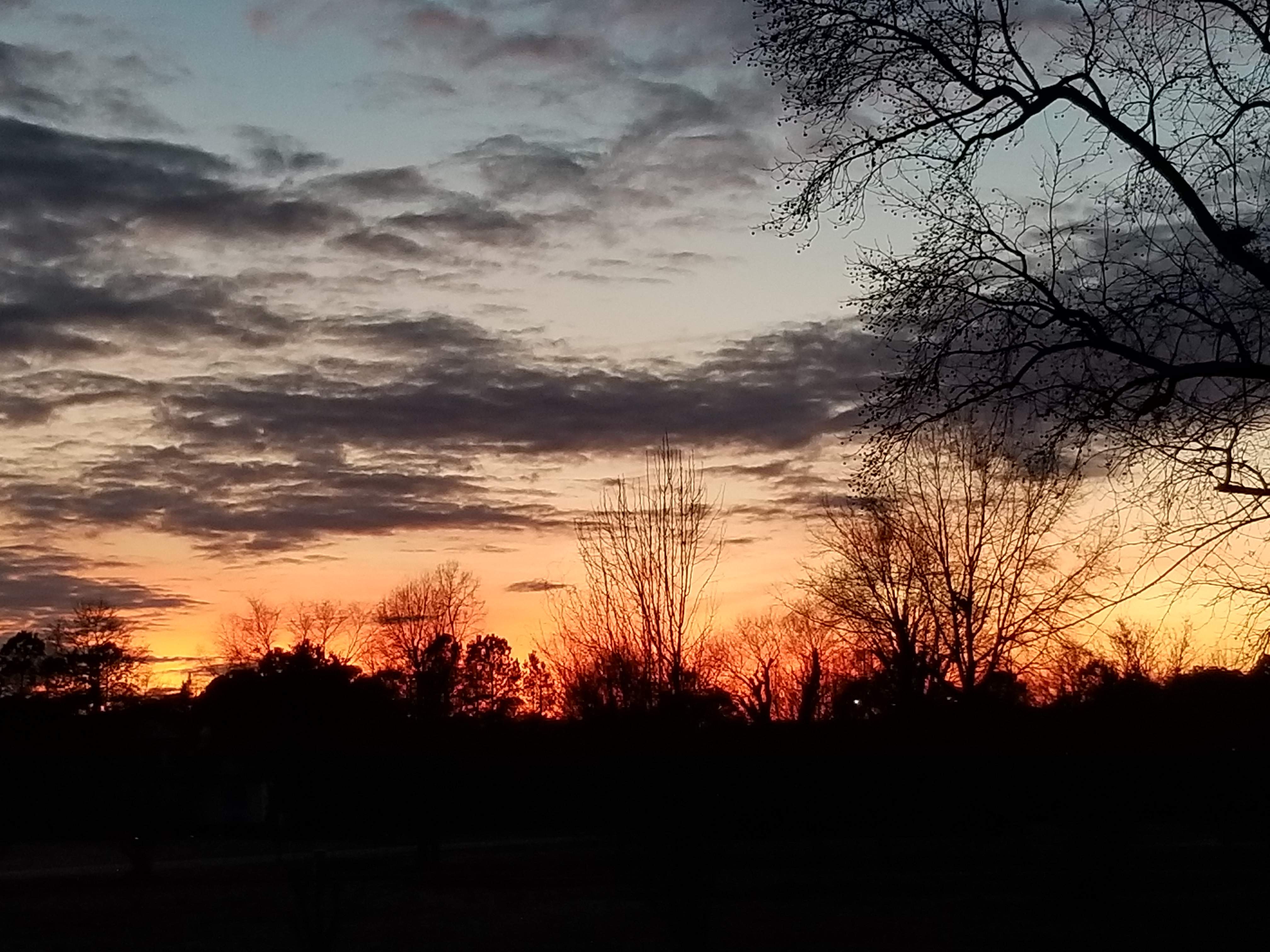 20190108_173344.jpg