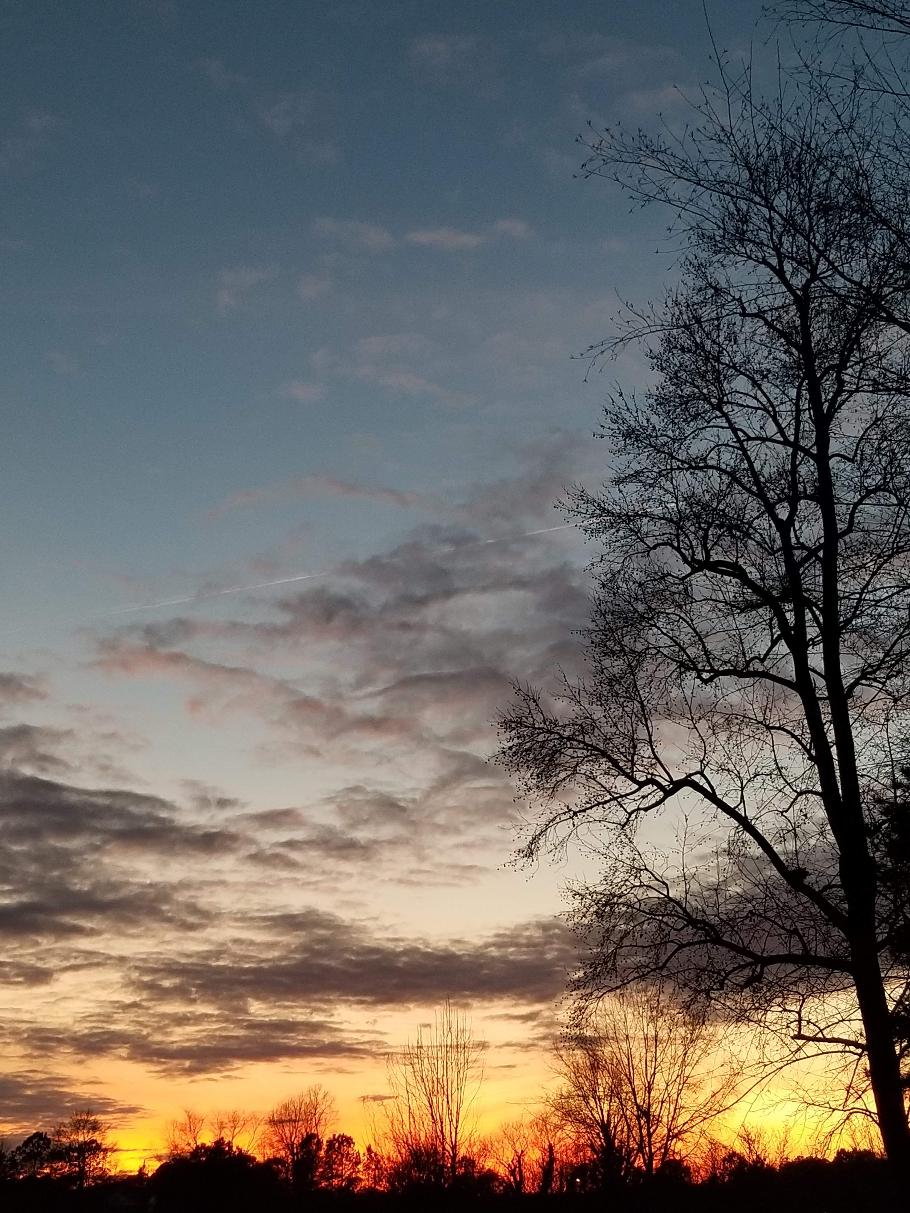 20190108_173406.jpg