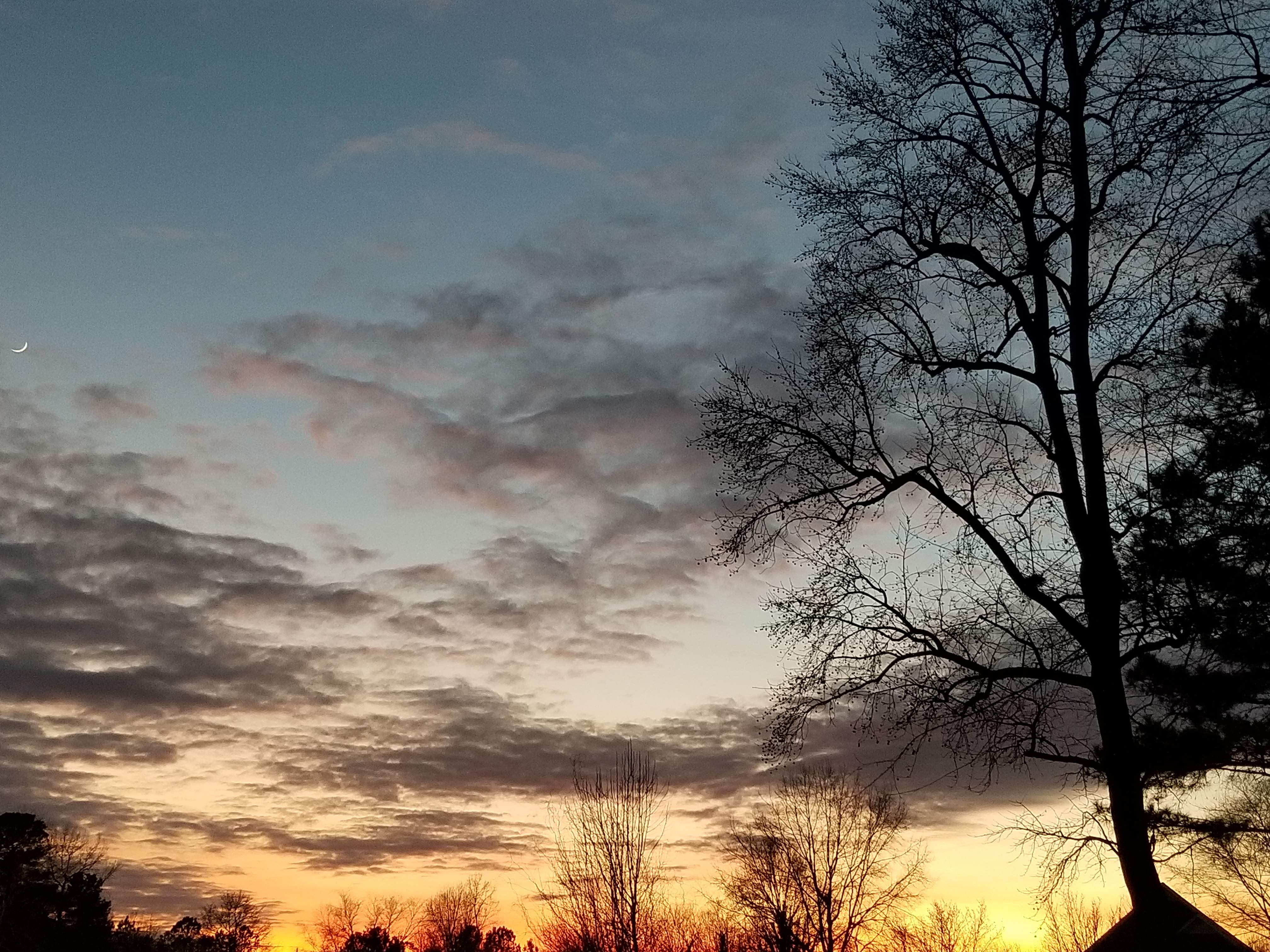20190108_173447.jpg