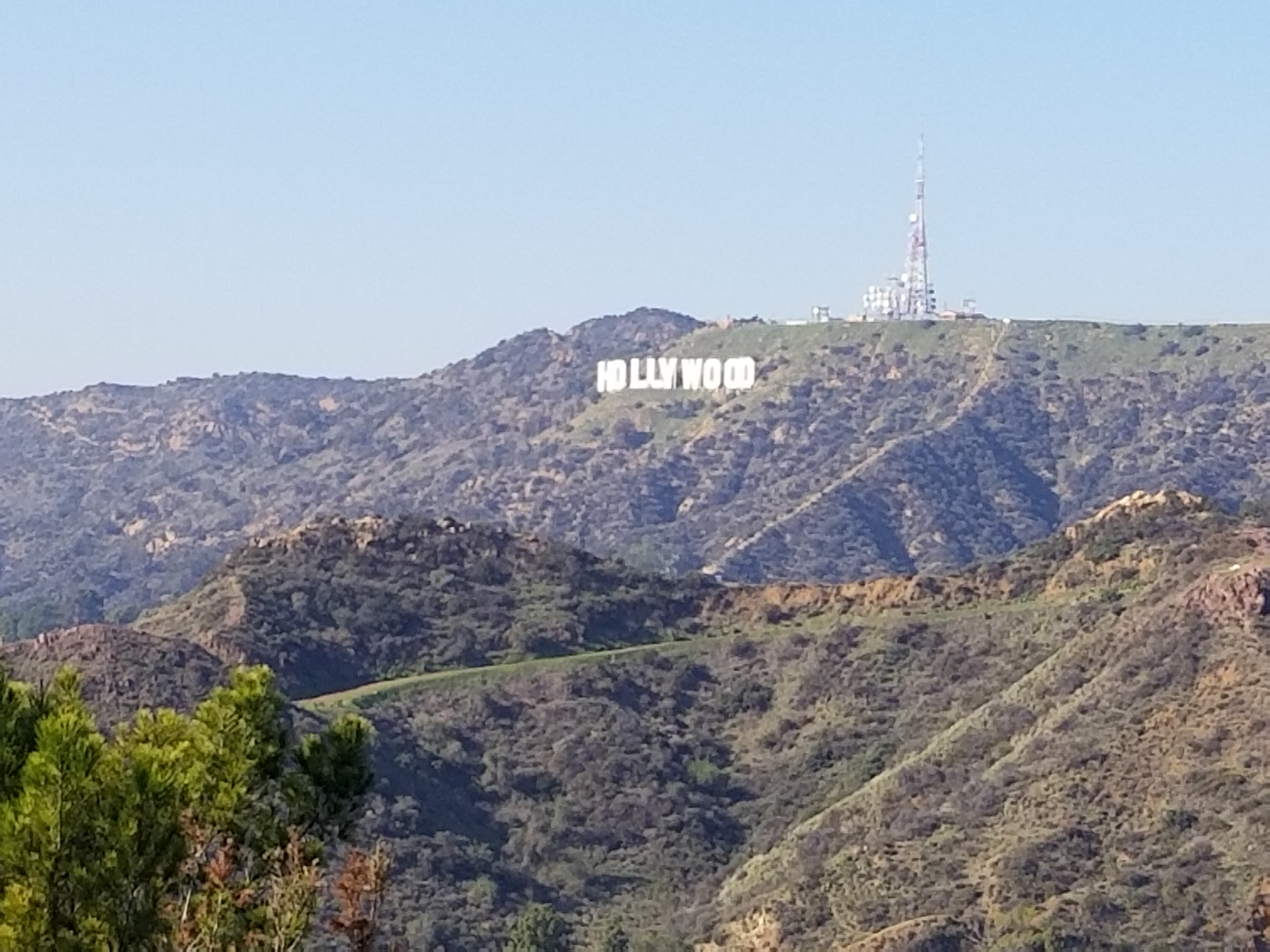 20190110_133845.jpg