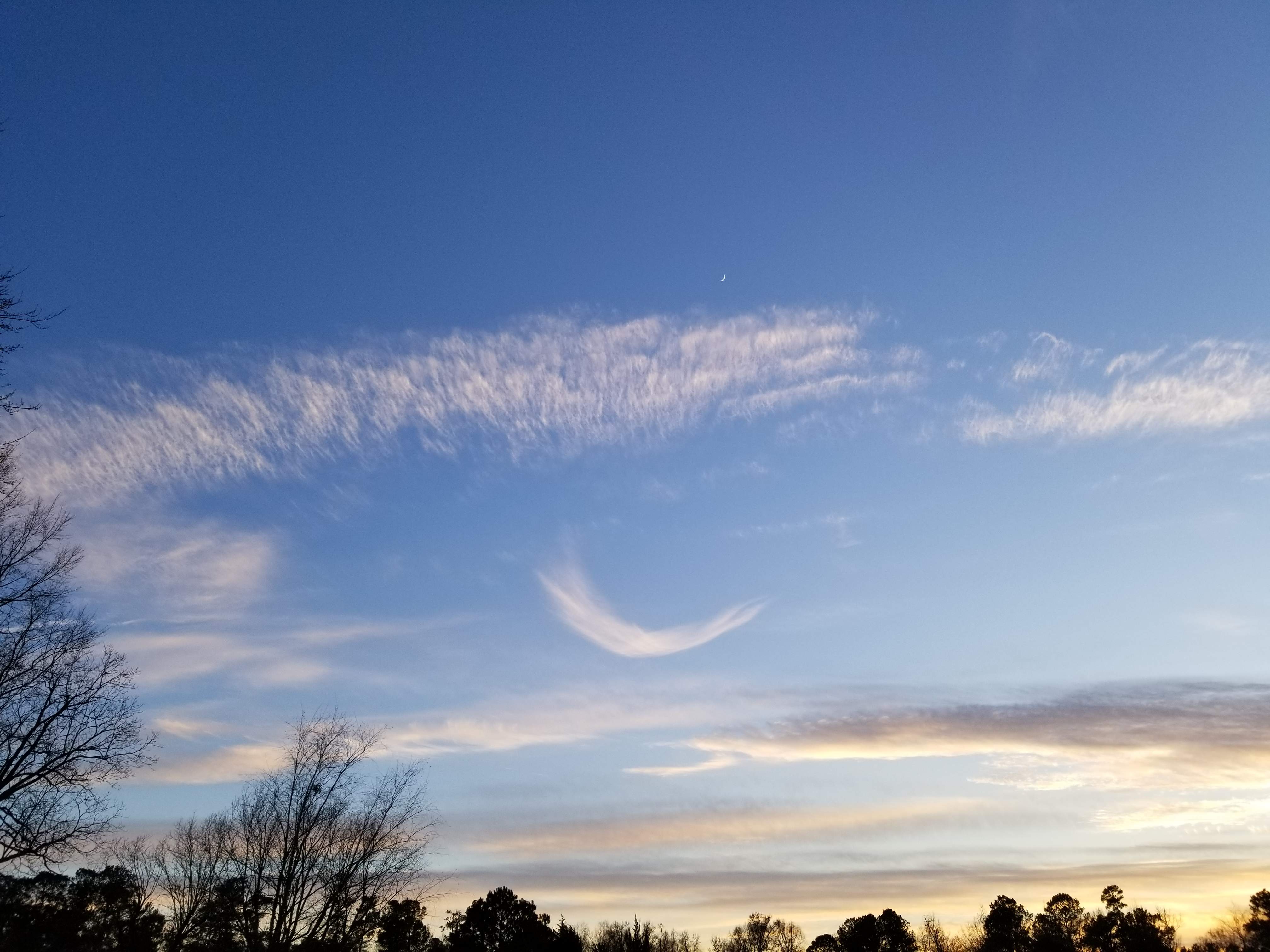 20190110_170535.jpg
