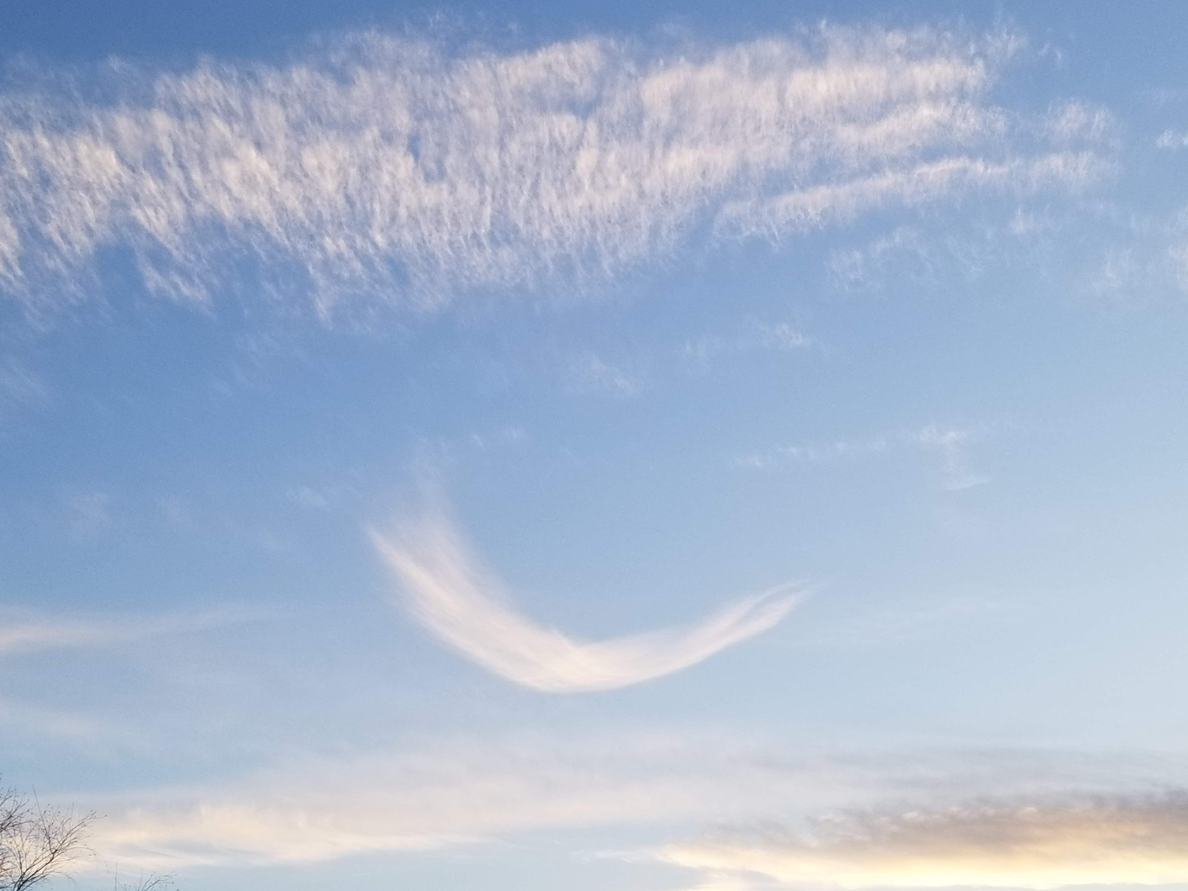 20190110_170539.jpg