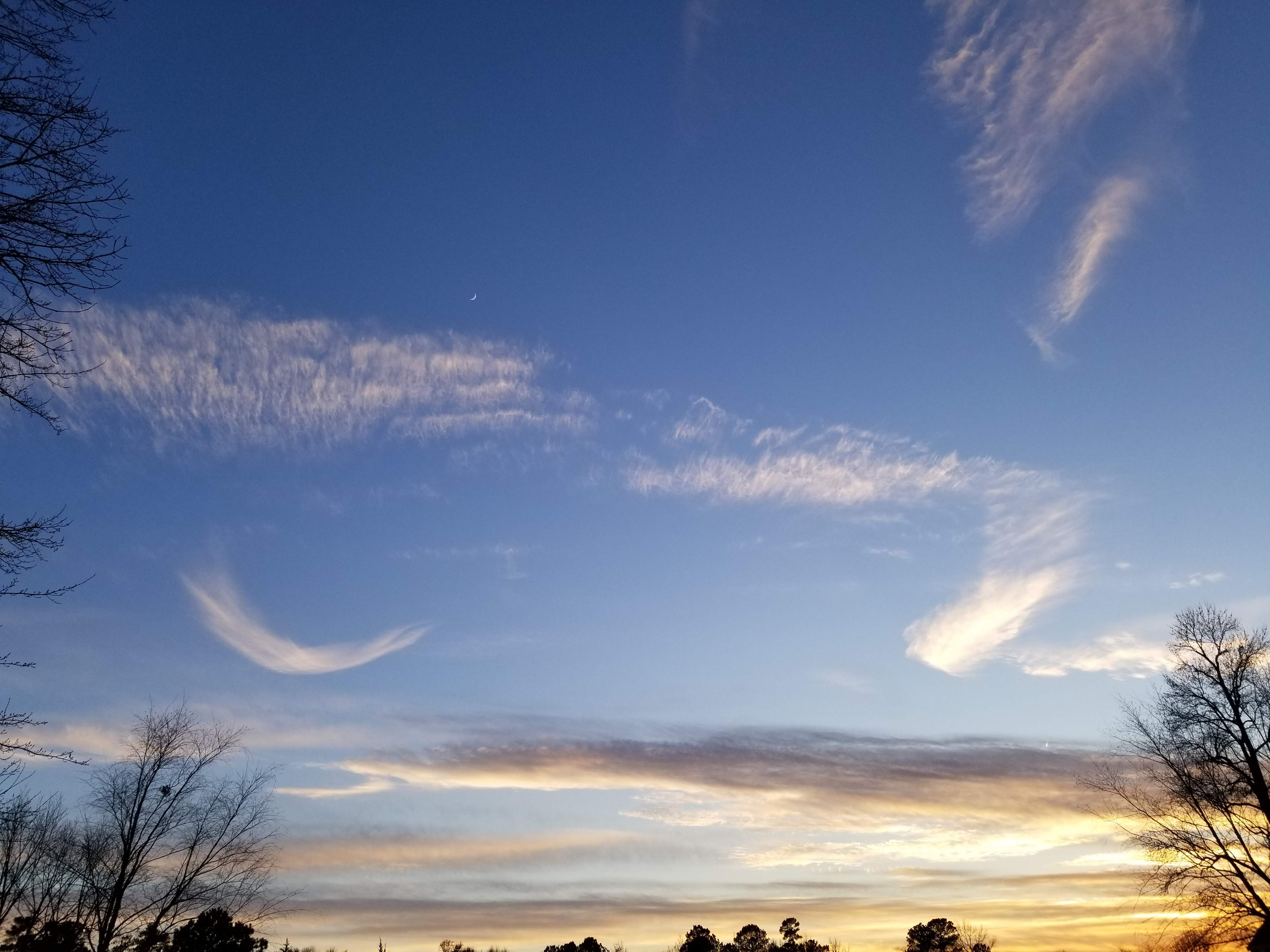 20190110_170558.jpg