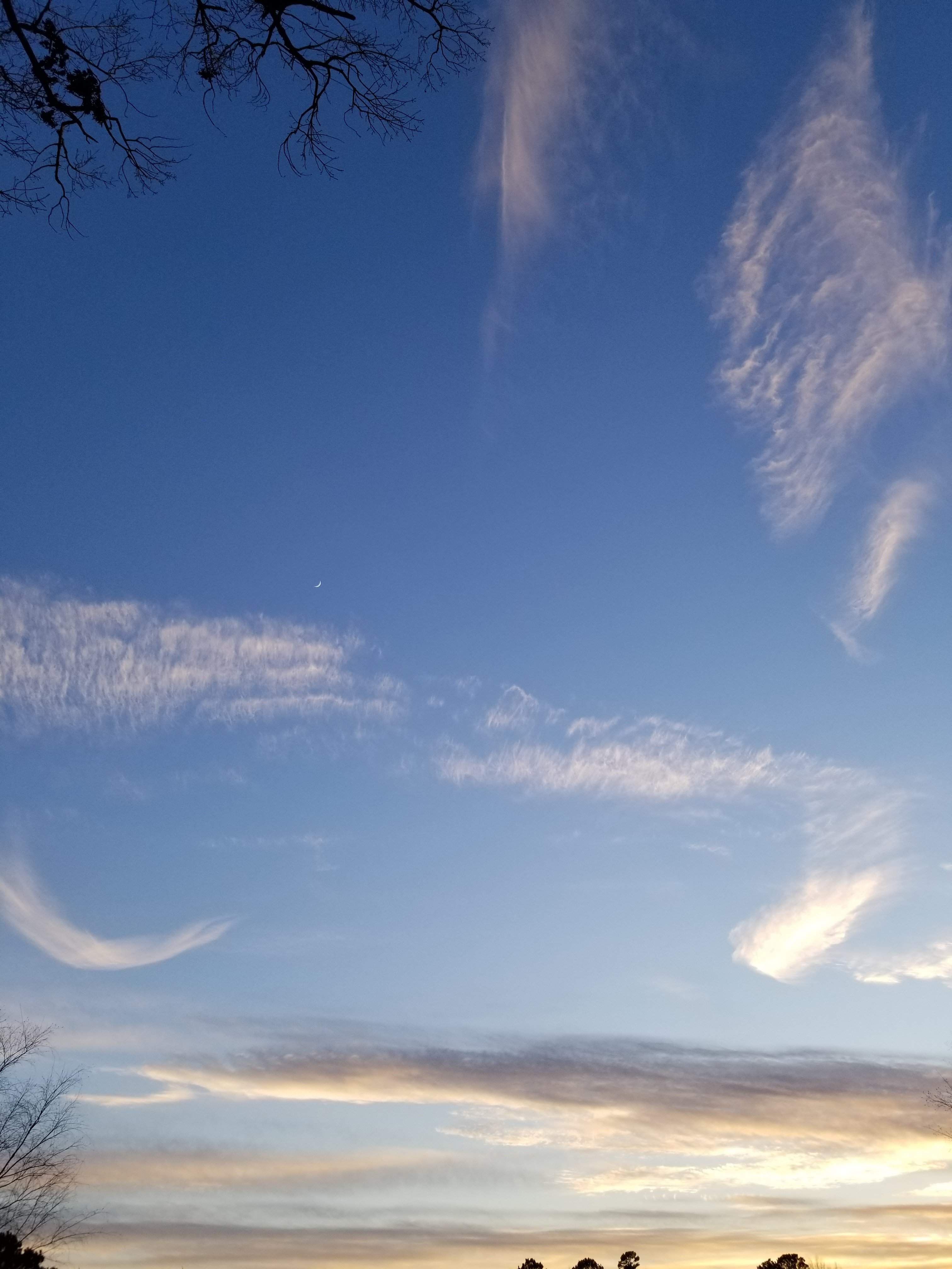 20190110_170609.jpg