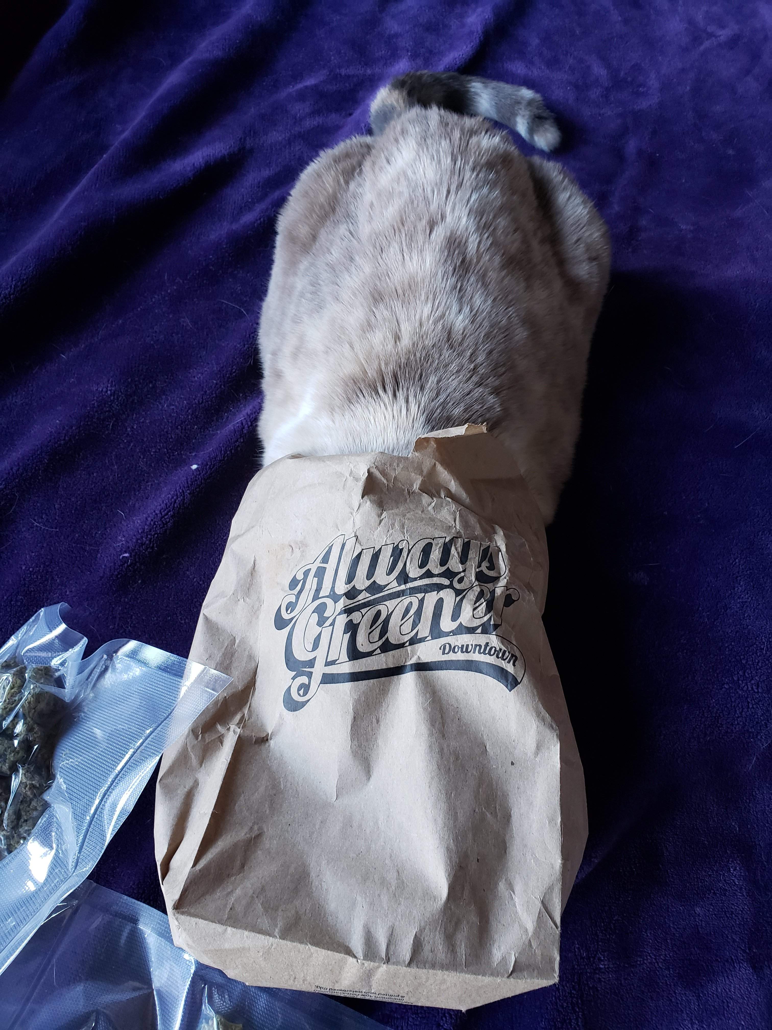 20190114_123024.jpg