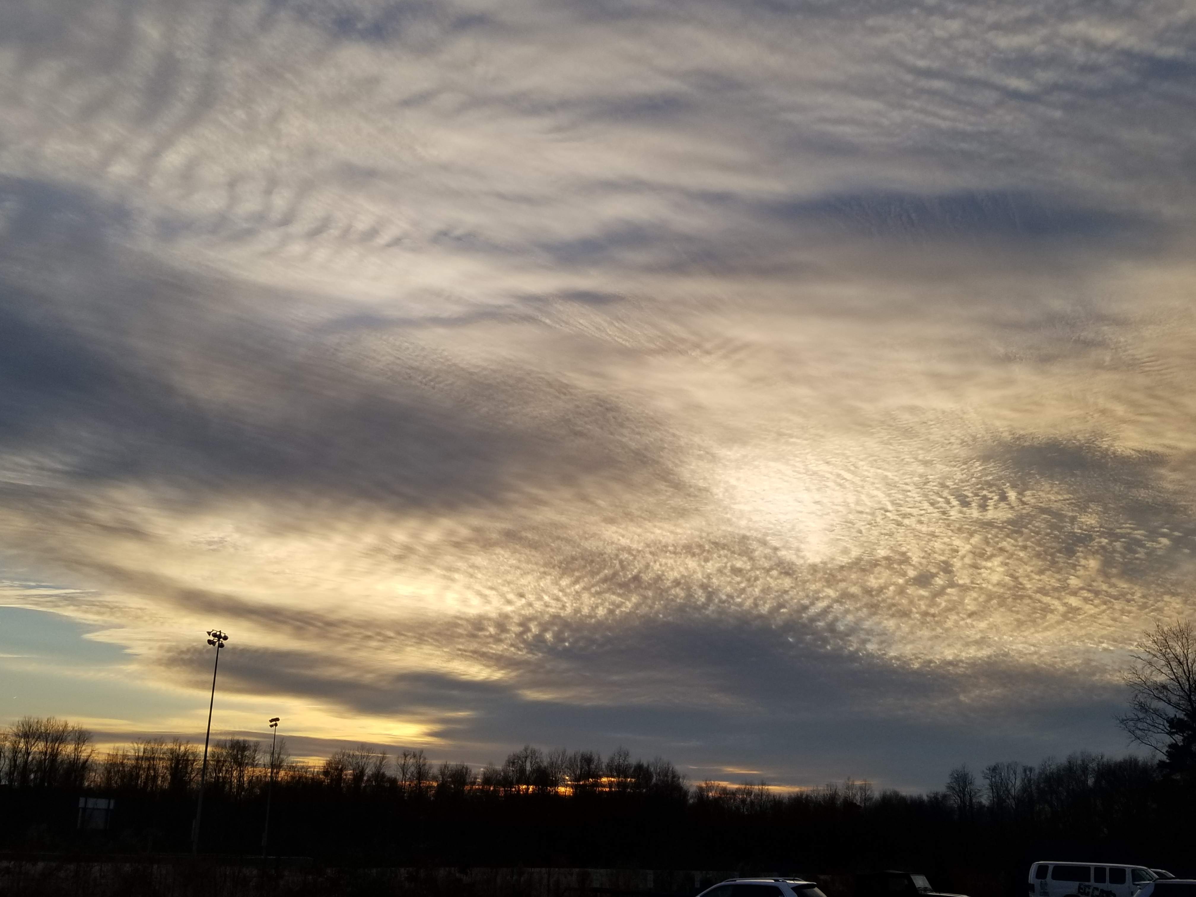 20190117_165653.jpg