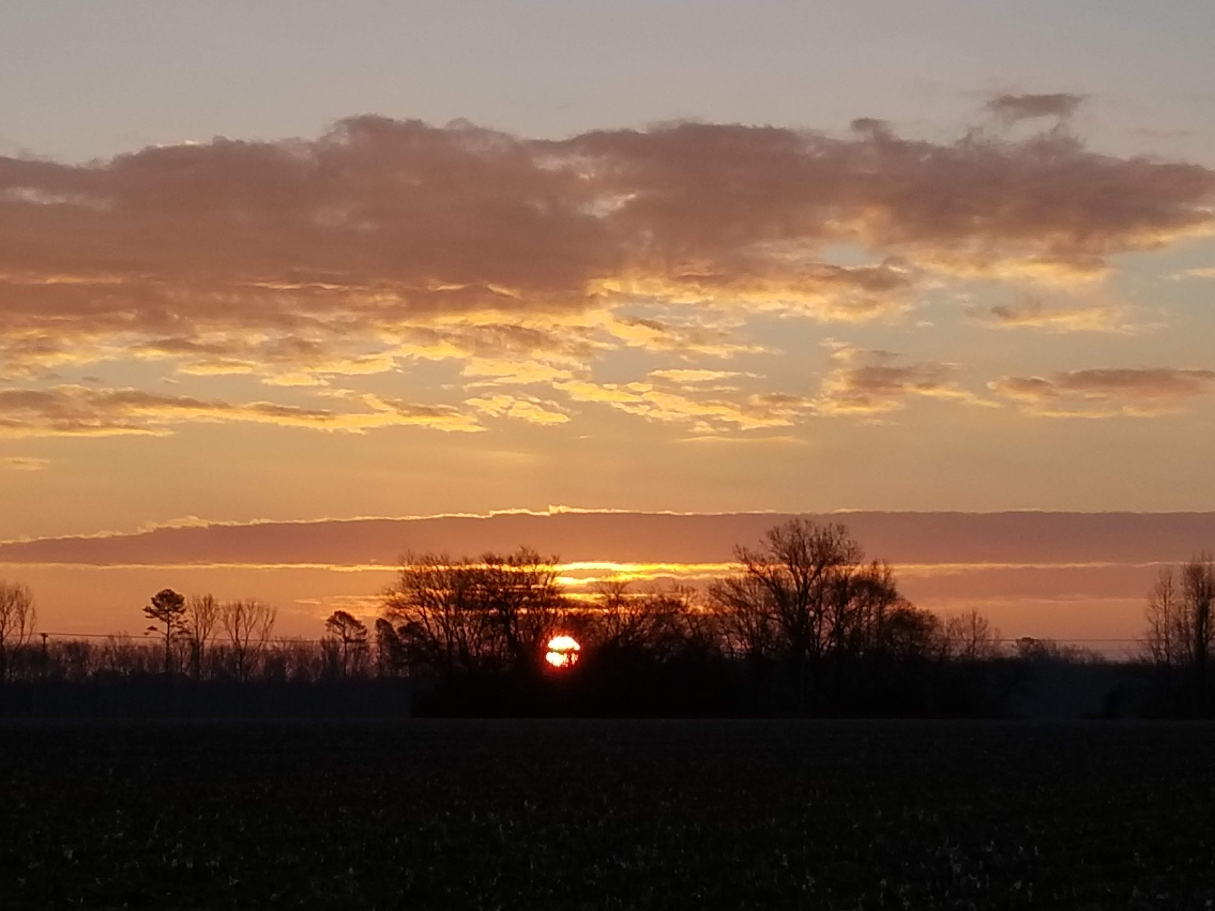 20190118_072607.jpg