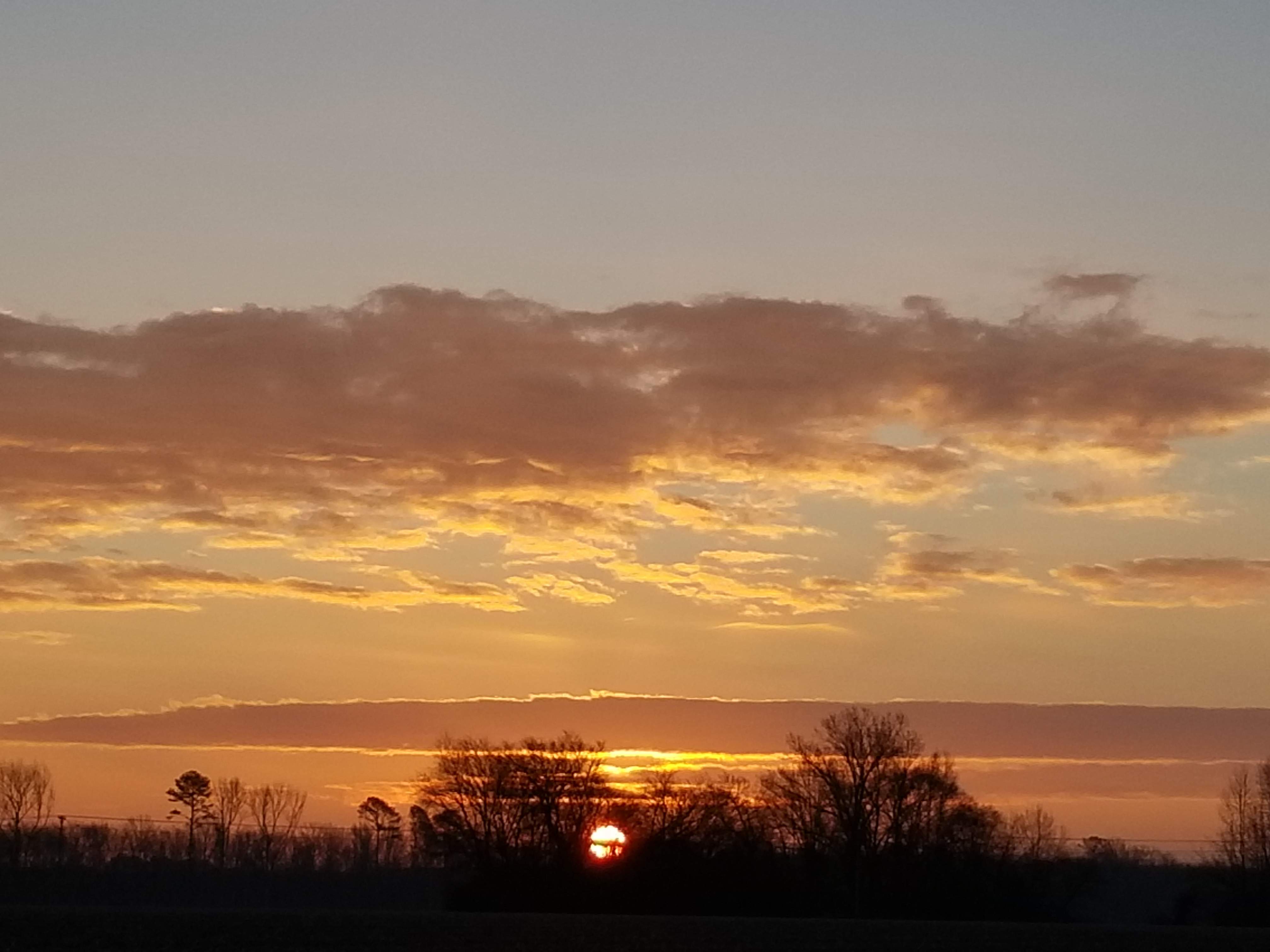 20190118_072616.jpg