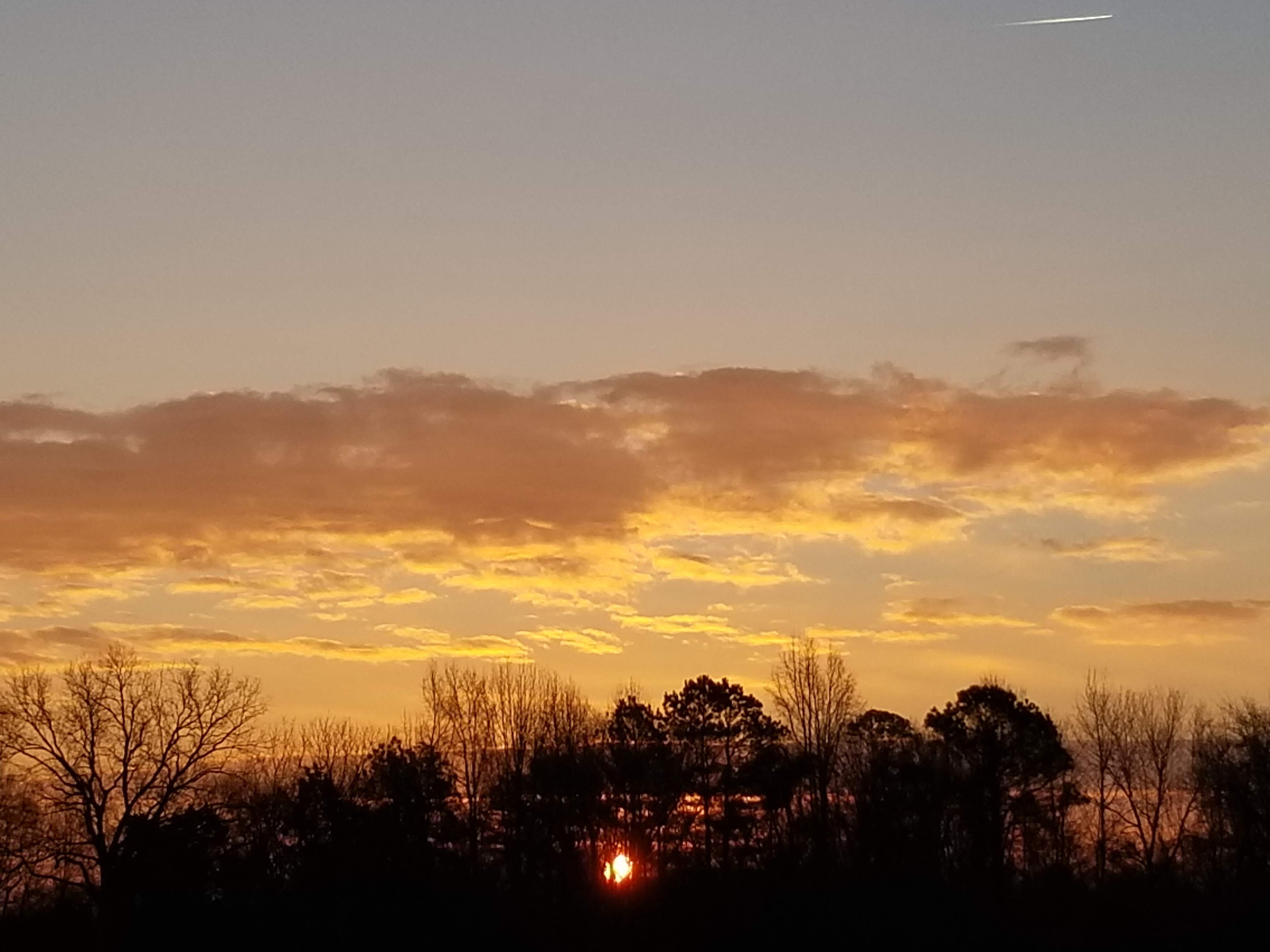 20190118_072720.jpg