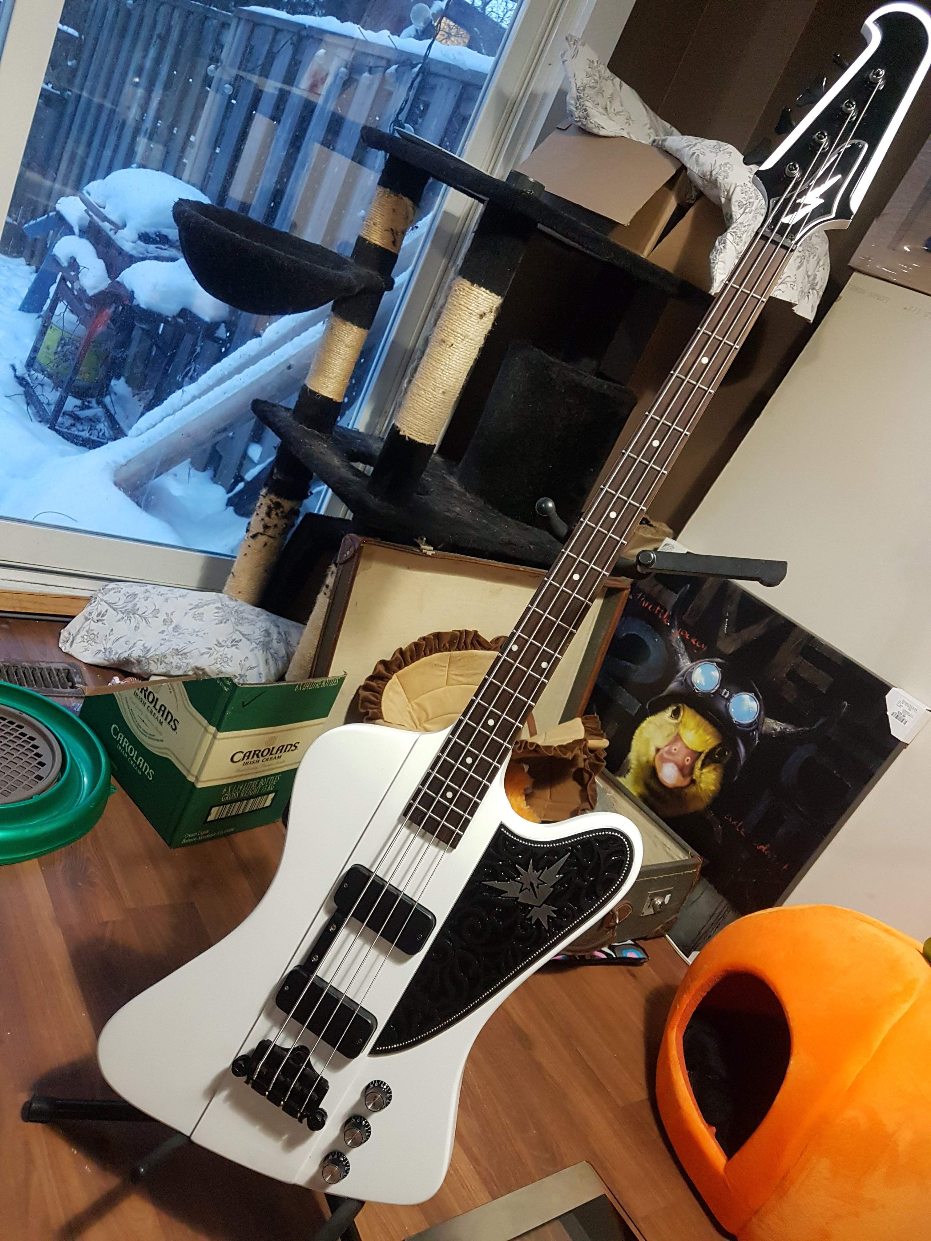 20190118_171554.jpg