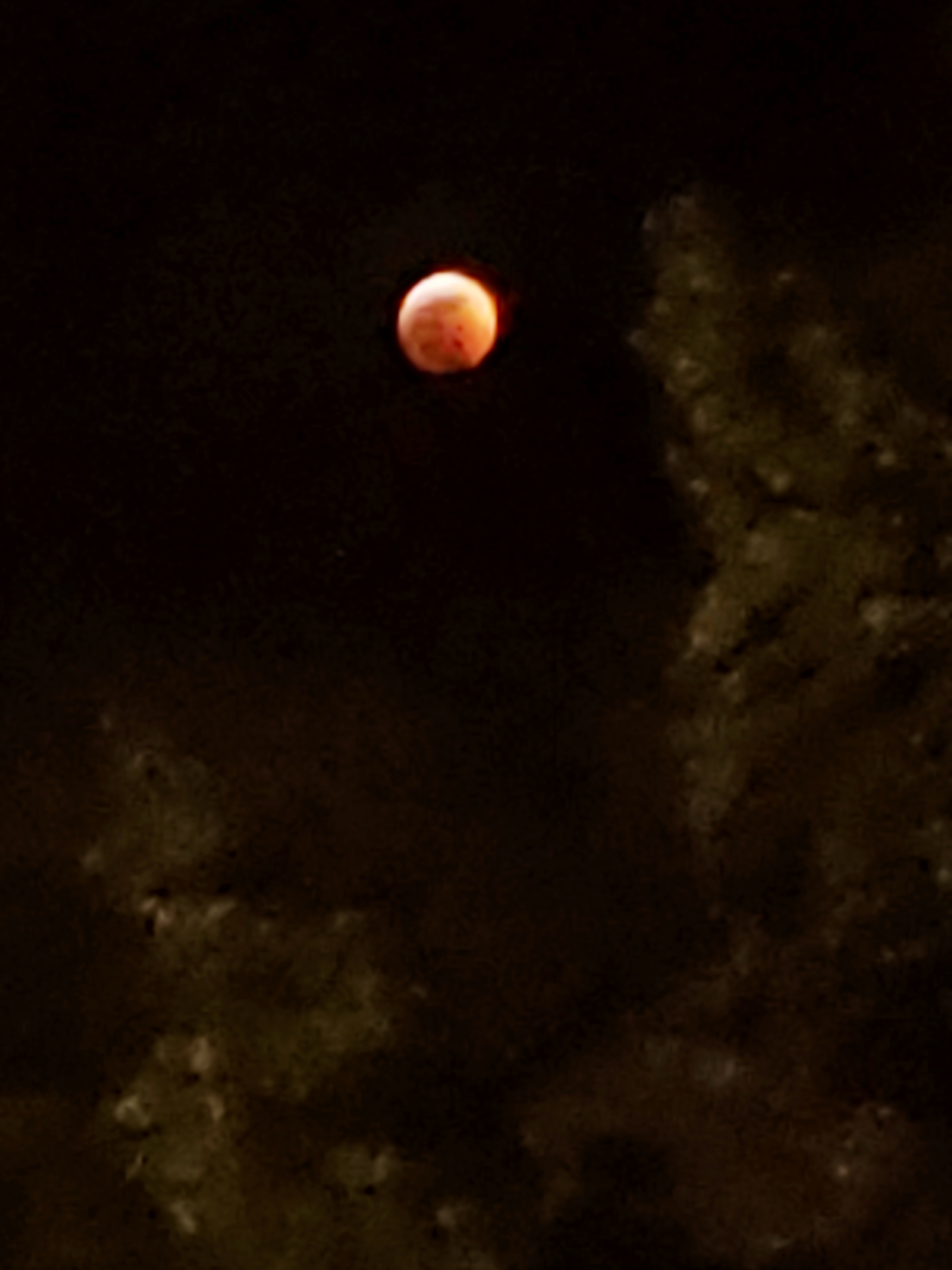 20190120_225033.jpg