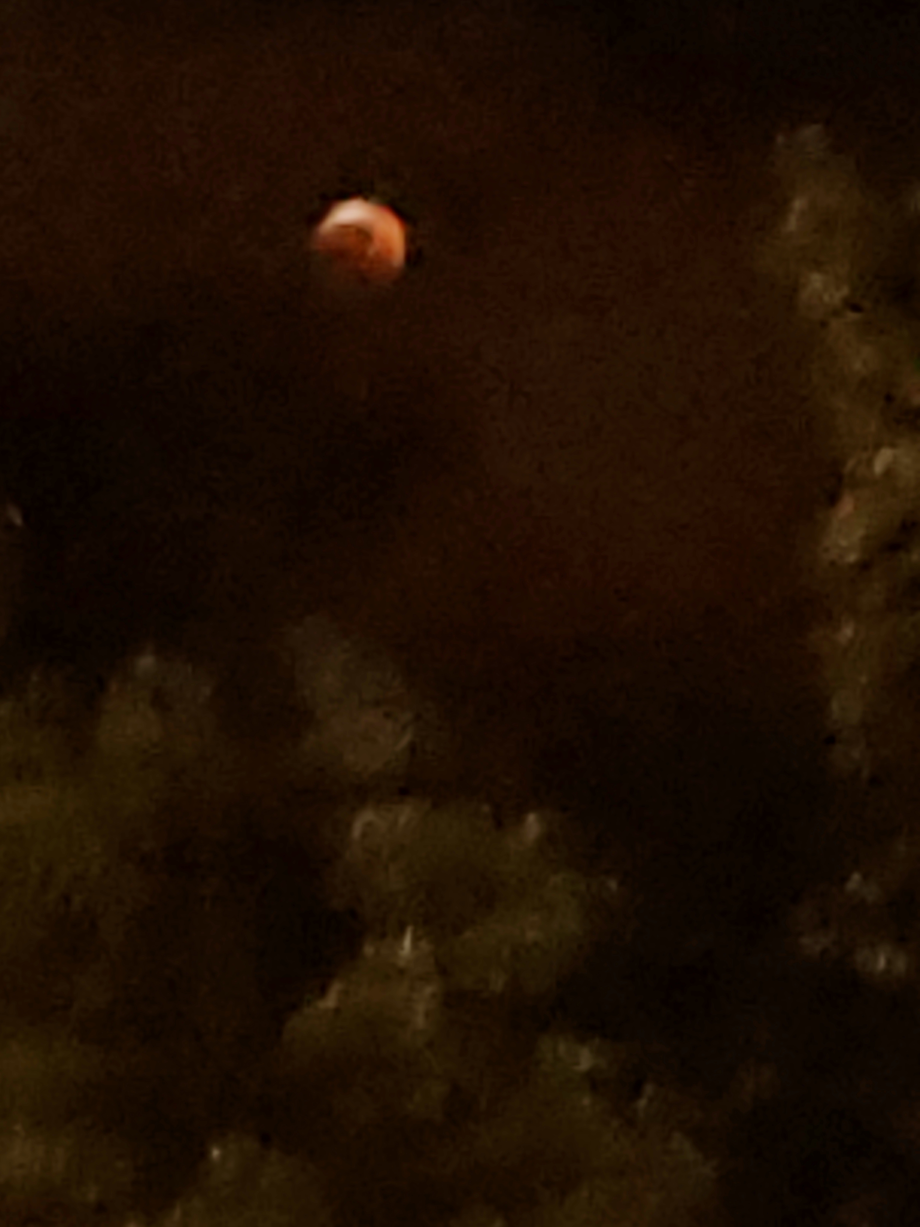 20190120_225248.jpg