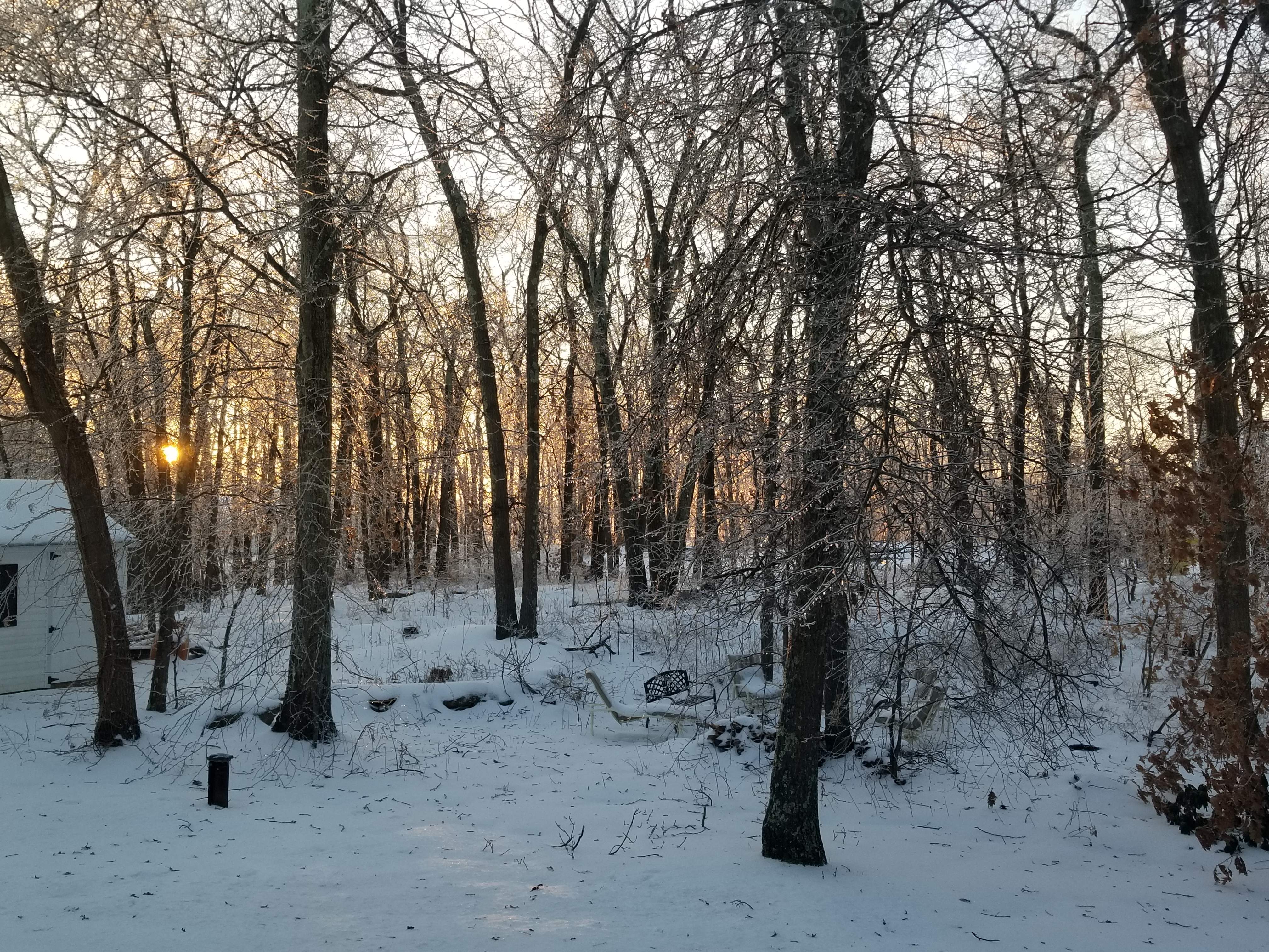 20190121_072602.jpg