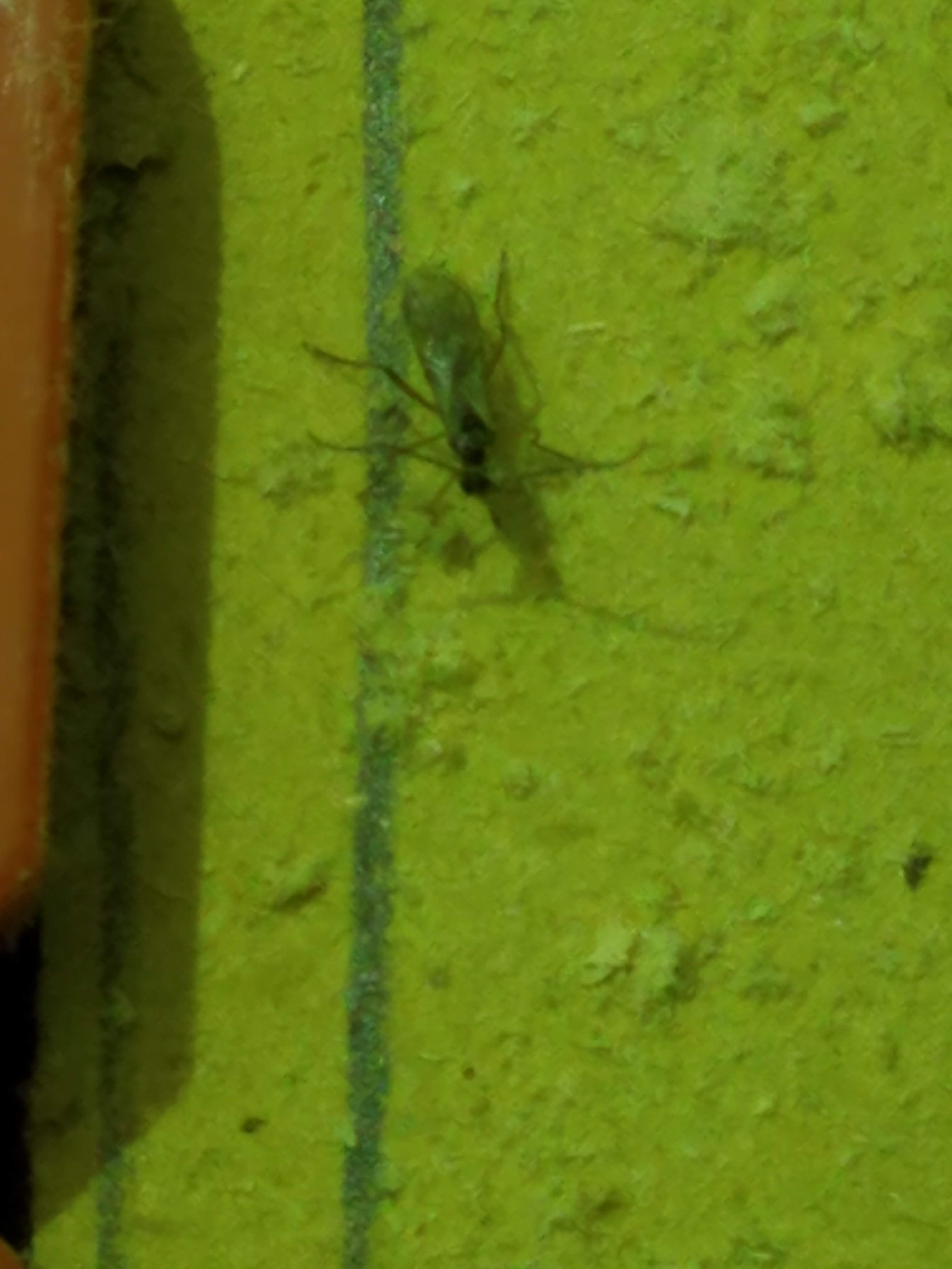 20190124_181339.jpg
