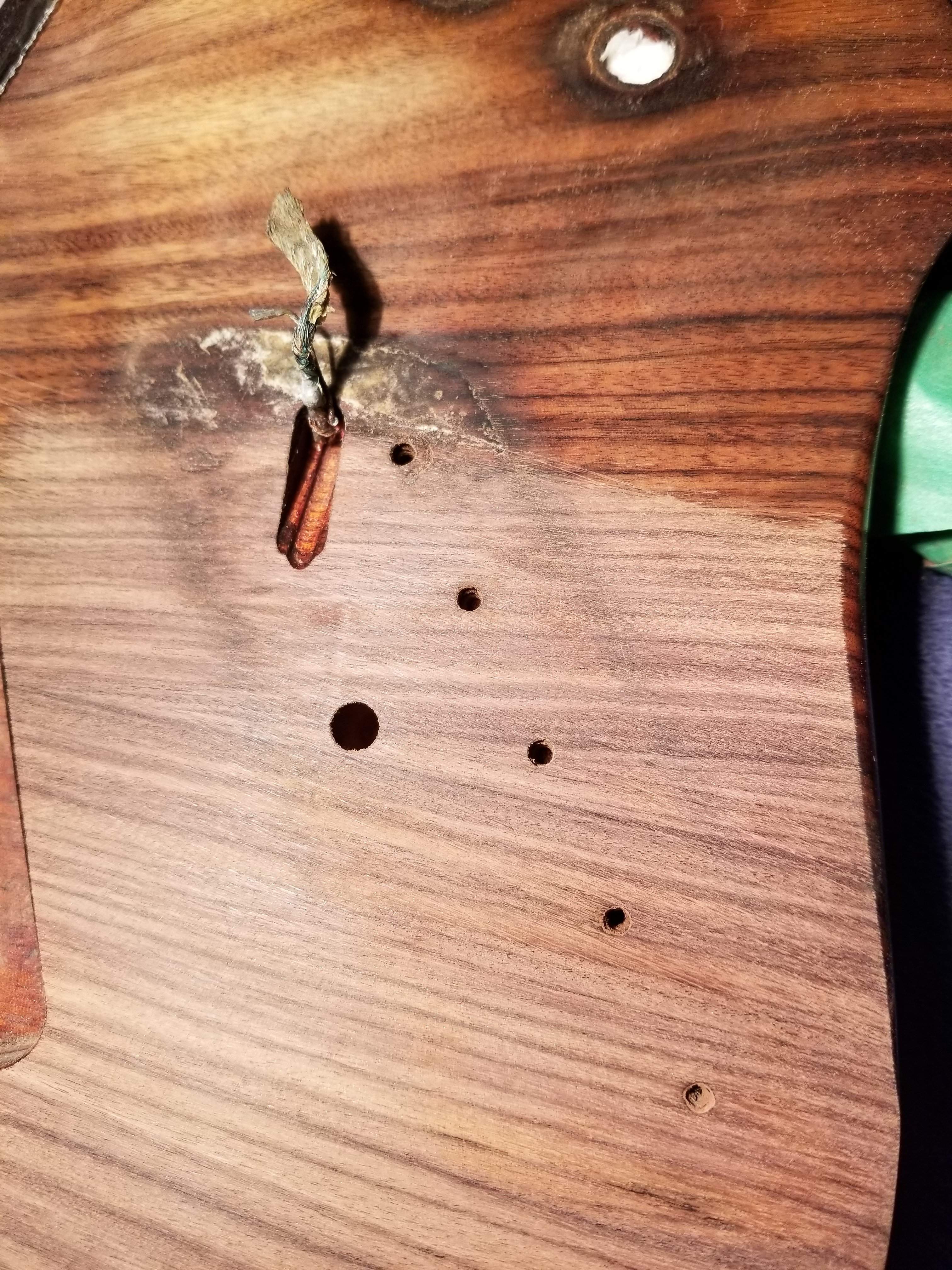 20190126_162309.jpg