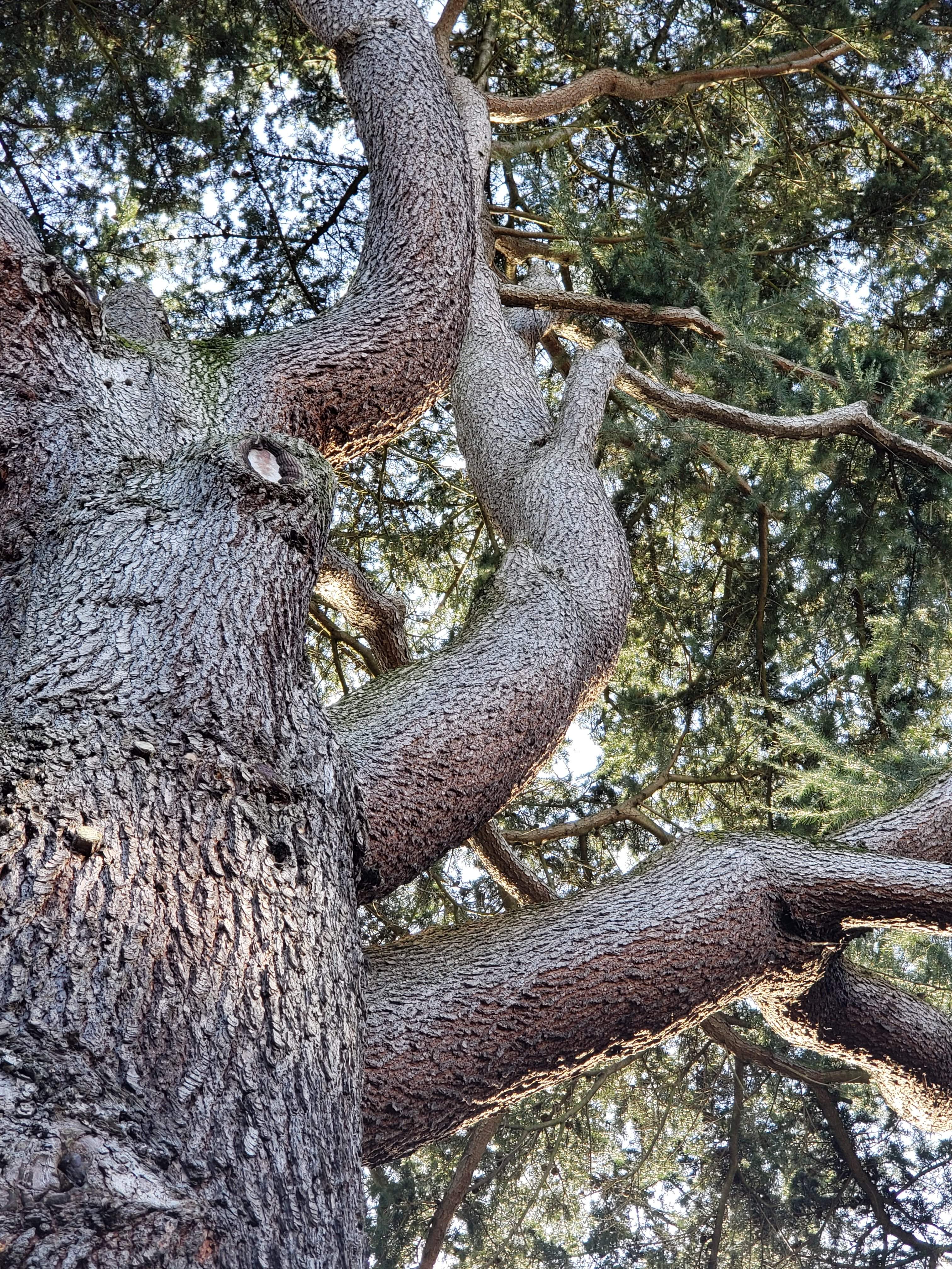 20190128_150317.jpg