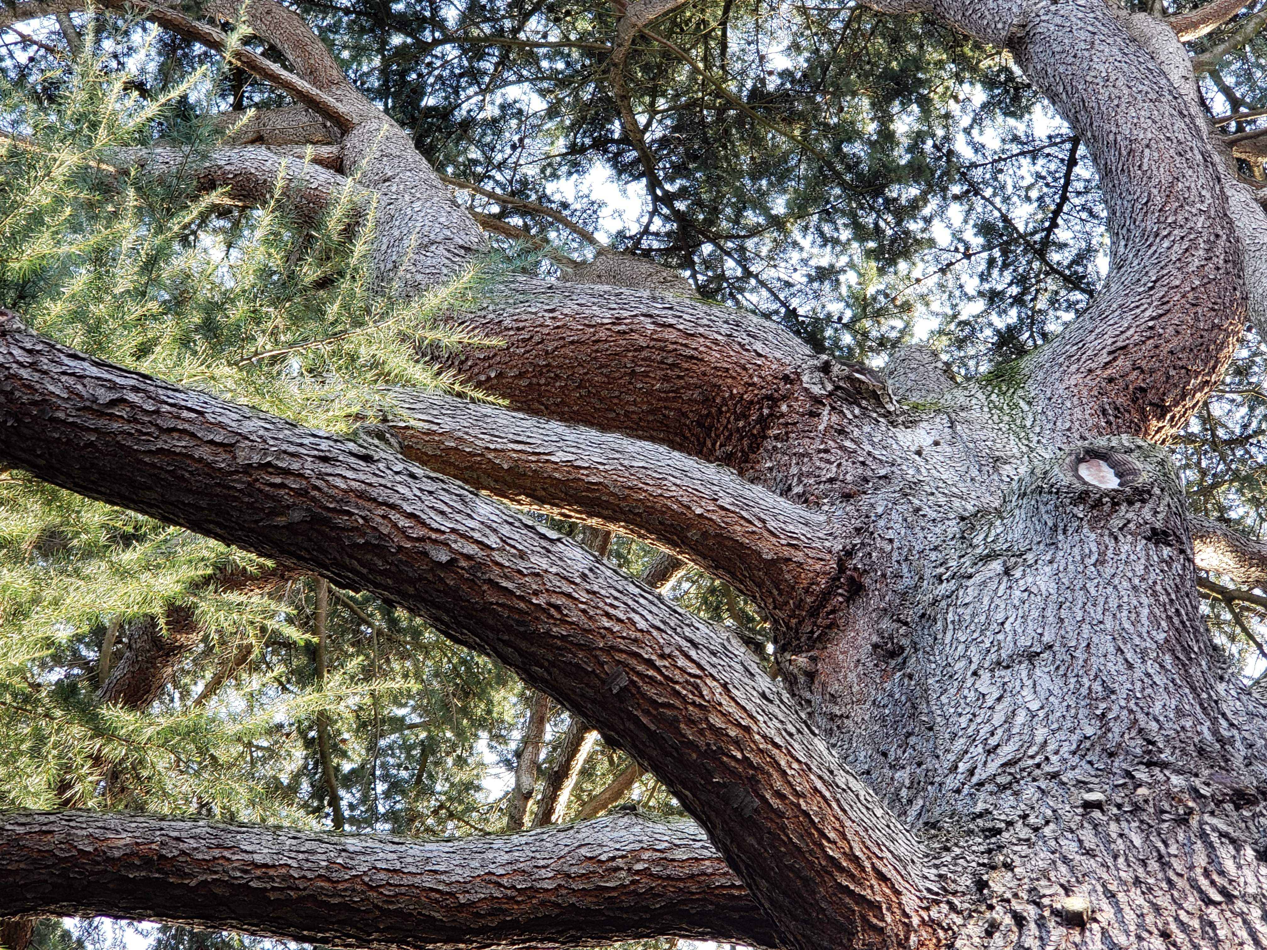 20190128_150339.jpg