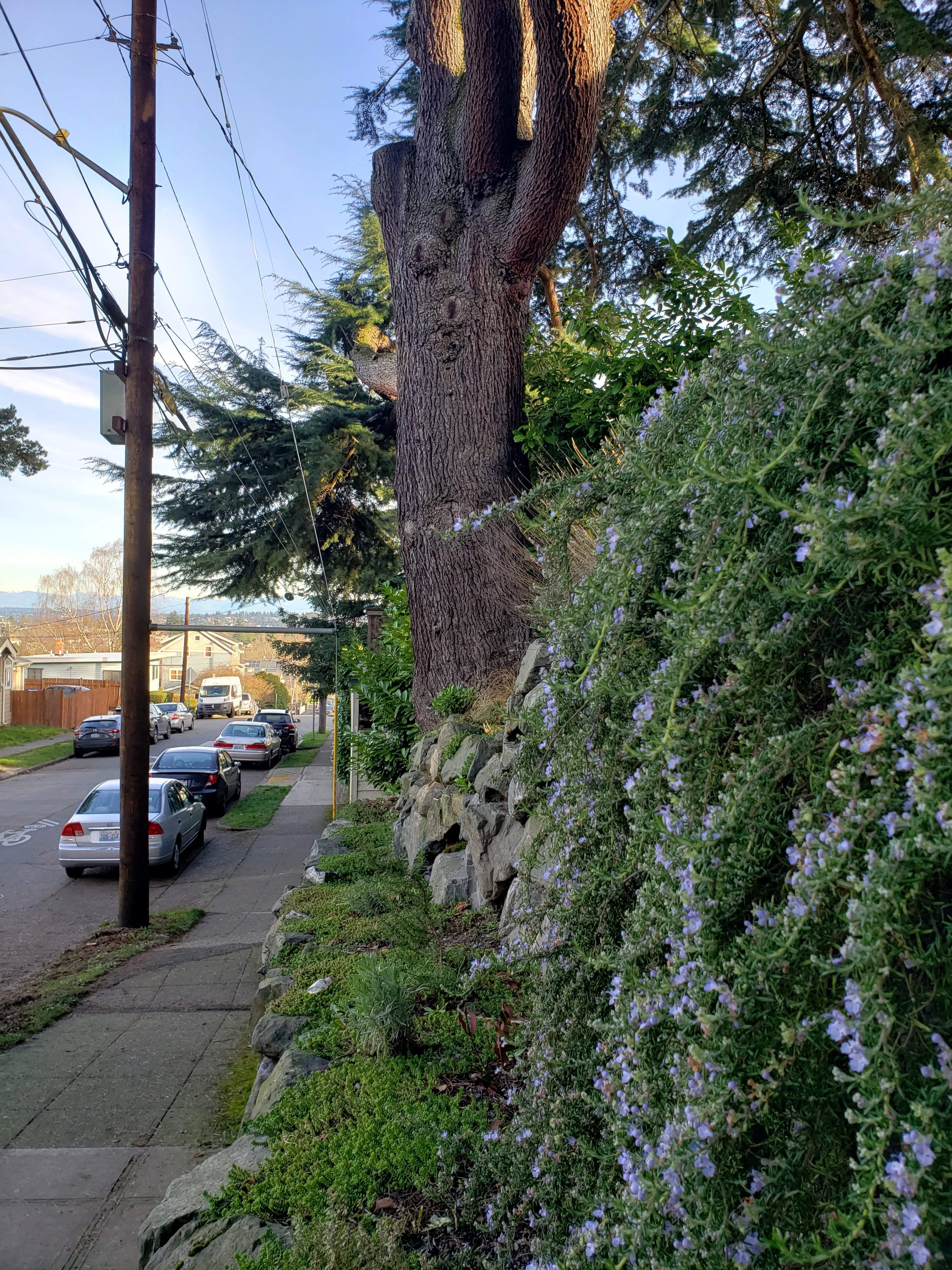 20190128_150522.jpg