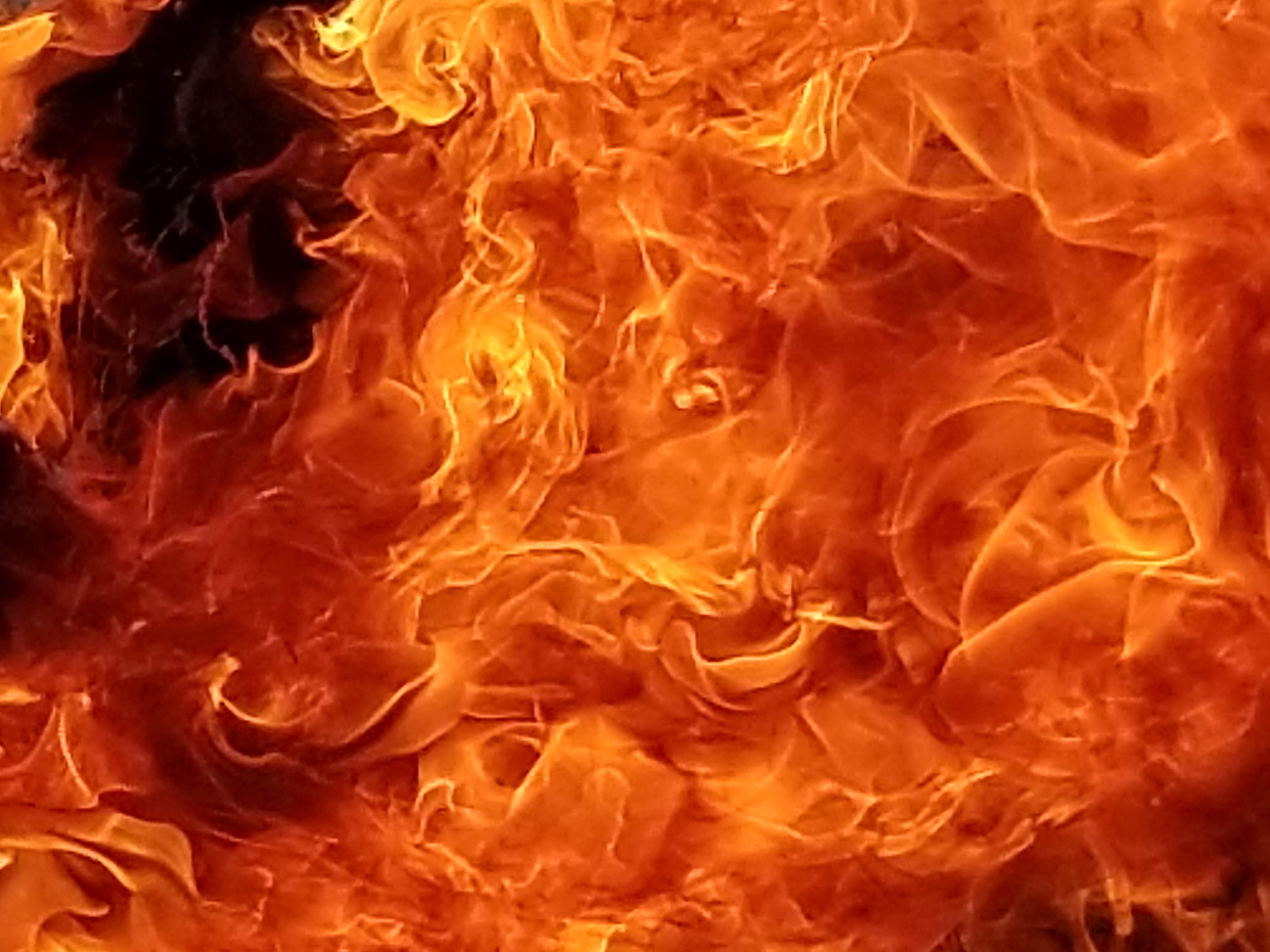 20190202_143320.jpg