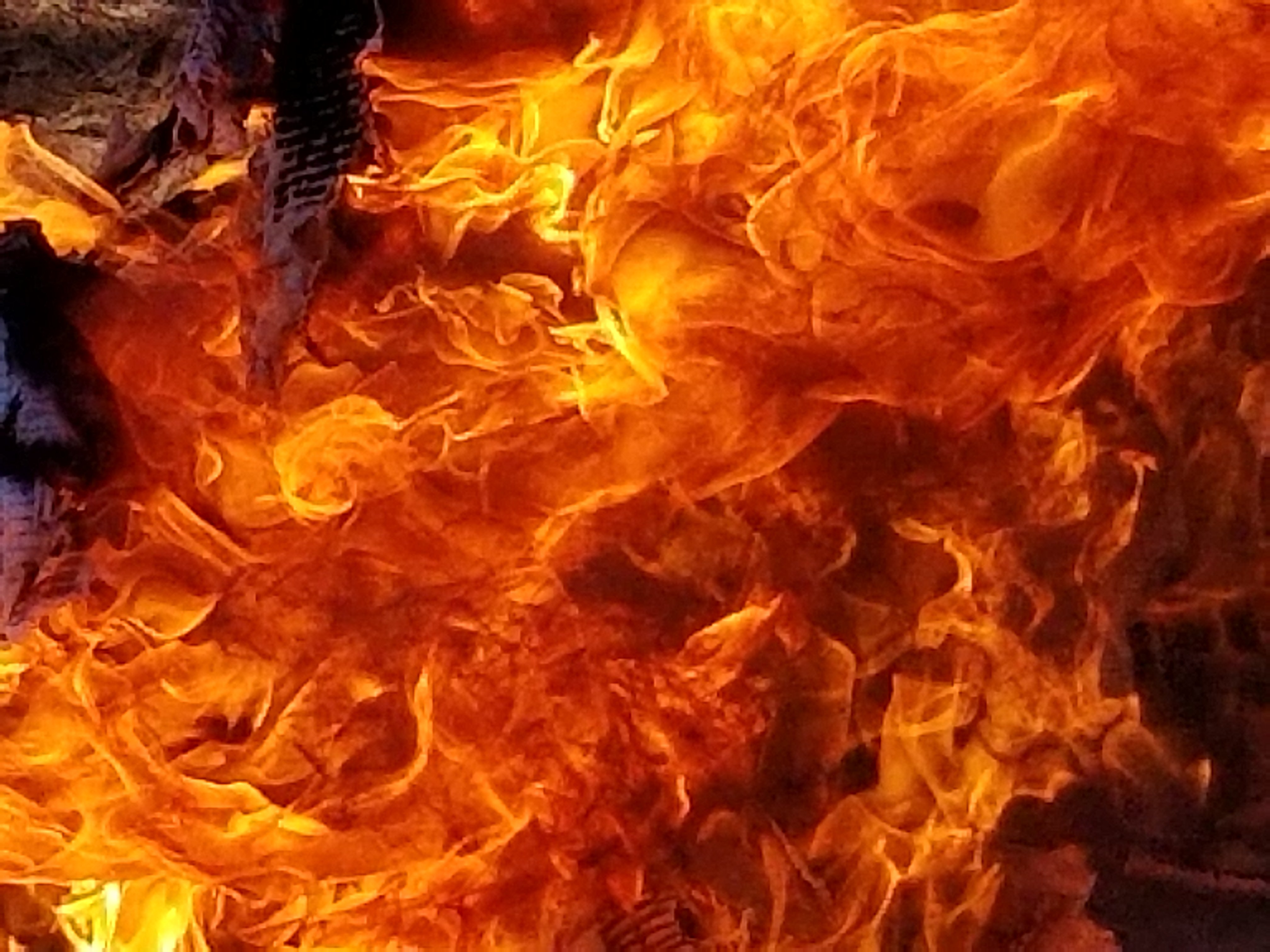 20190202_143342.jpg