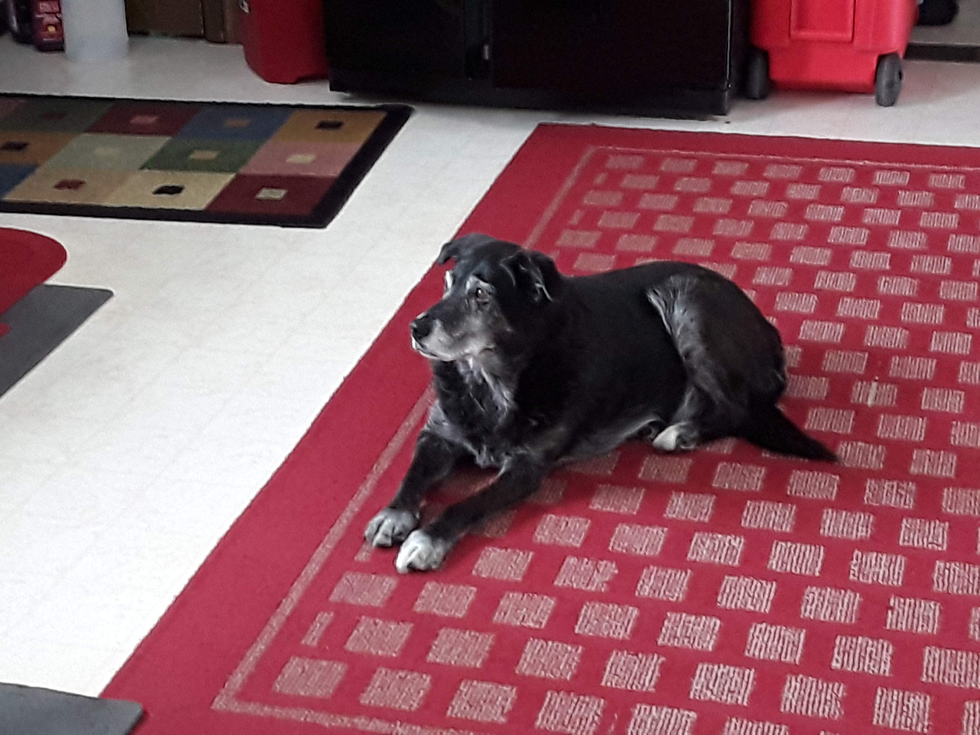 20190206_133533.jpg