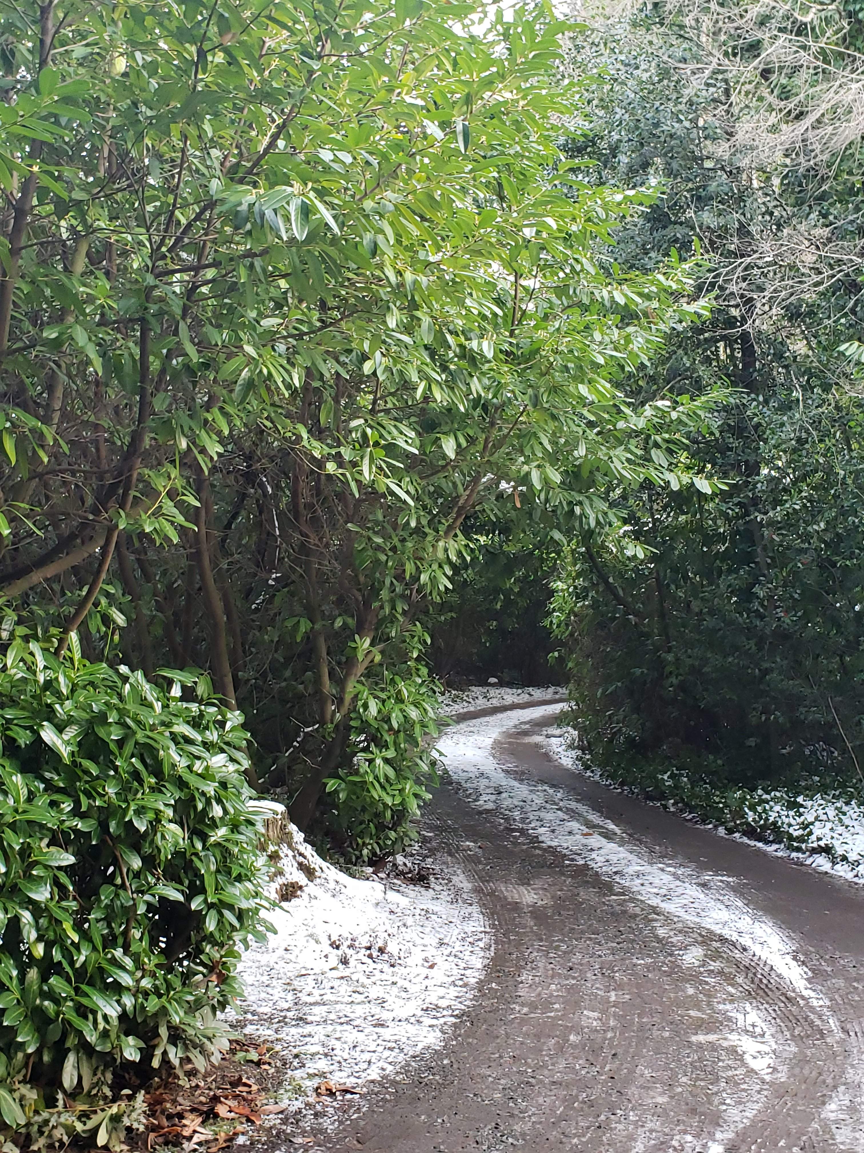 20190207_163556.jpg