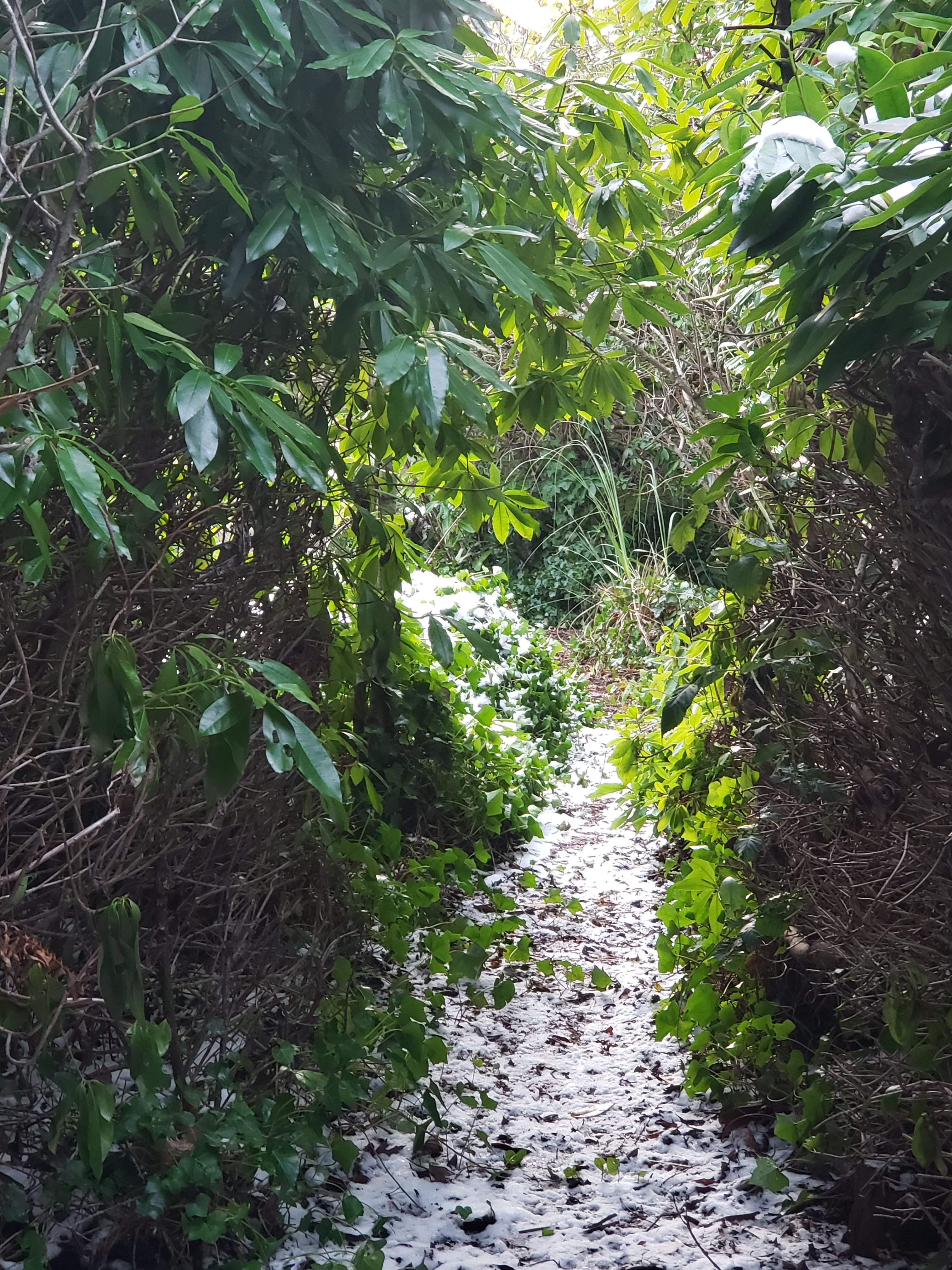 20190207_163915.jpg