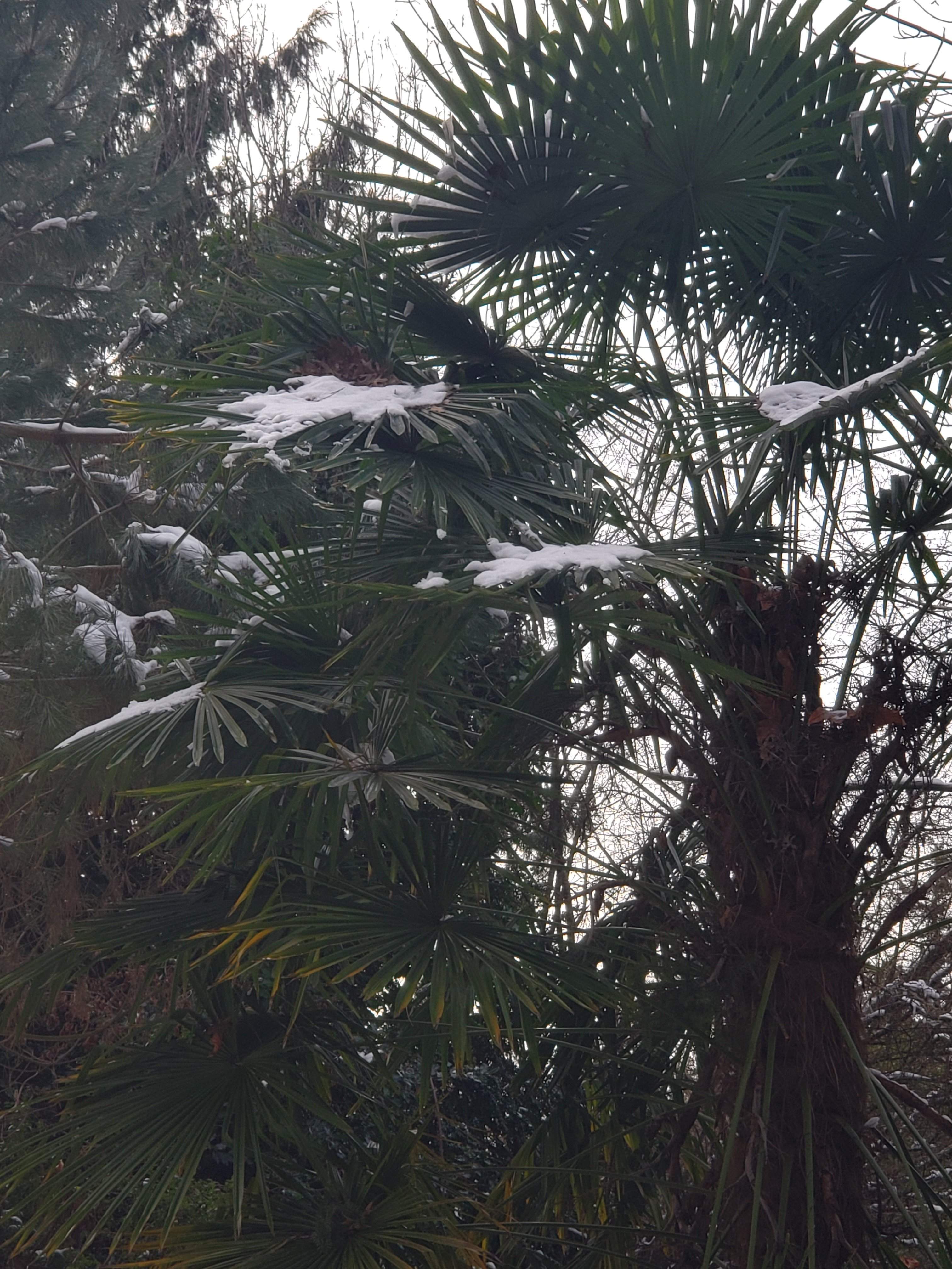 20190207_164048.jpg