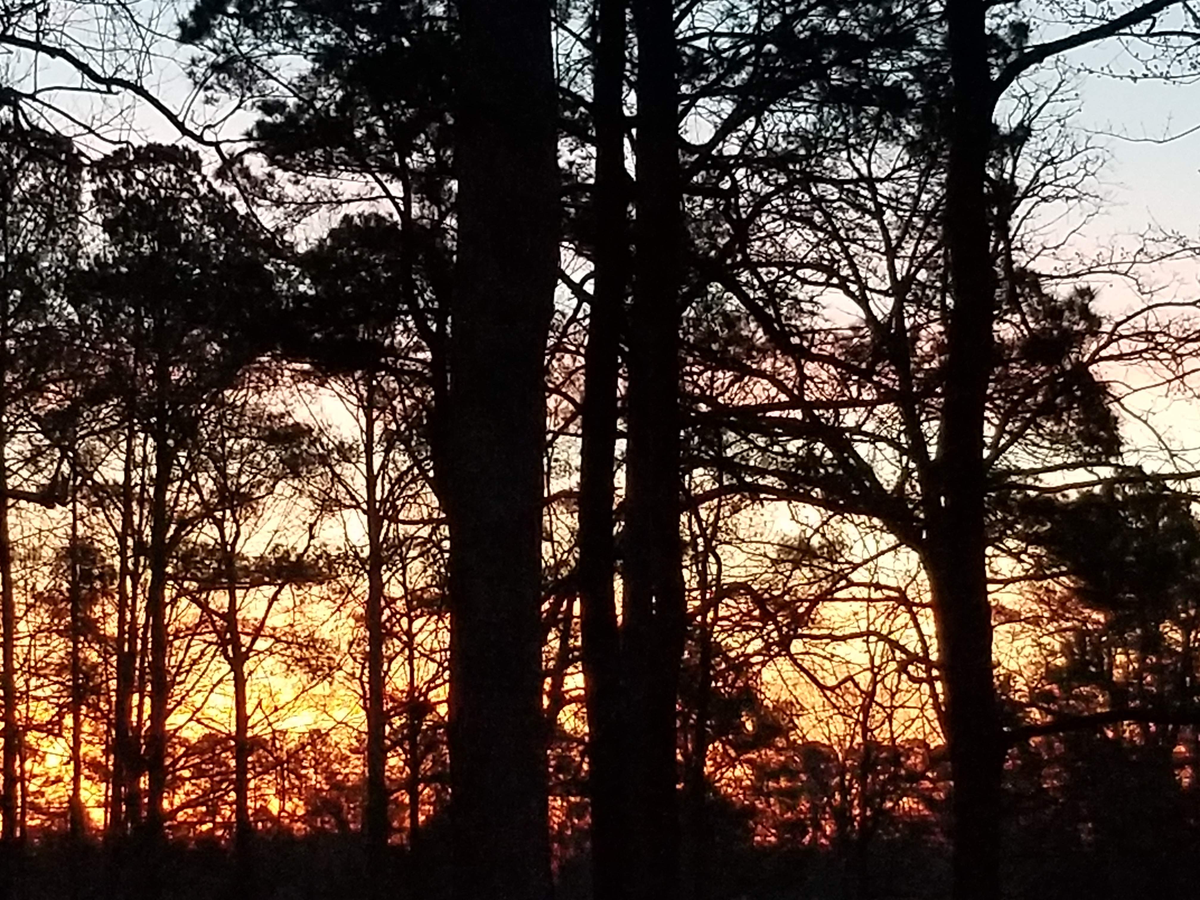 20190208_064406.jpg